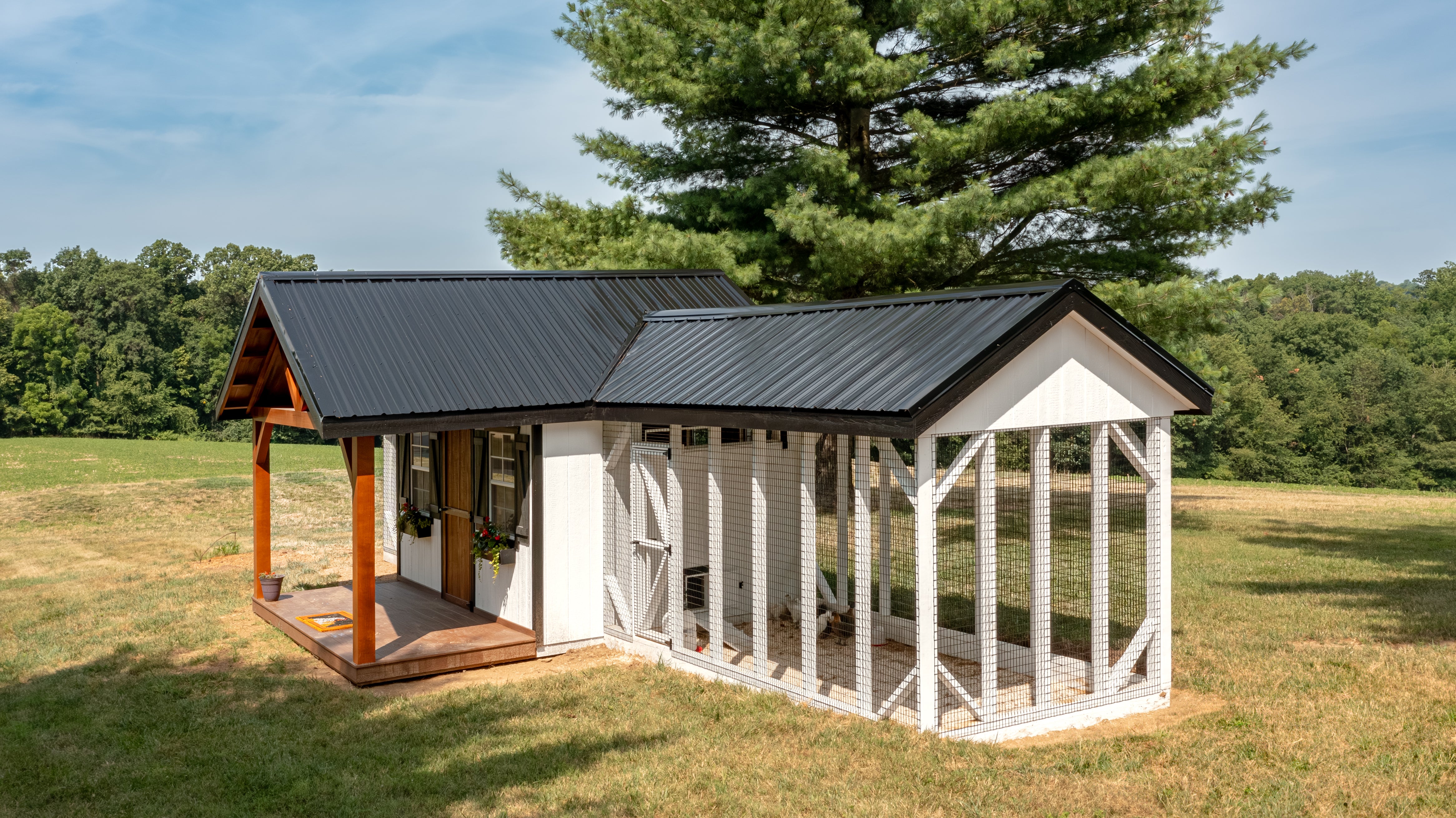 Hen House Collection Chicken Coop & 2 Runs Multibreed Coop A828CD side run view