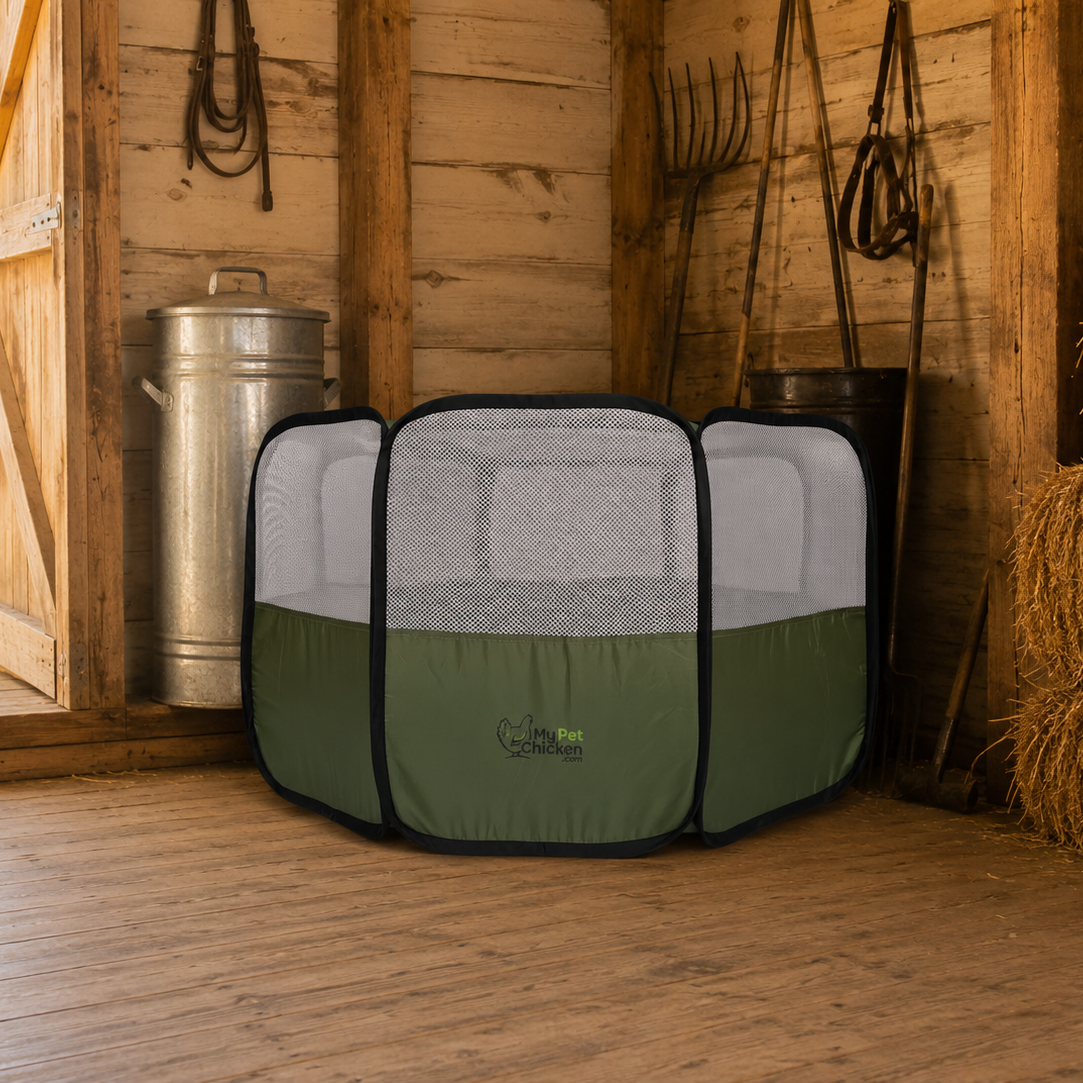 Hen Pen Starter Pop-Up Brooder for indoor chick brooding