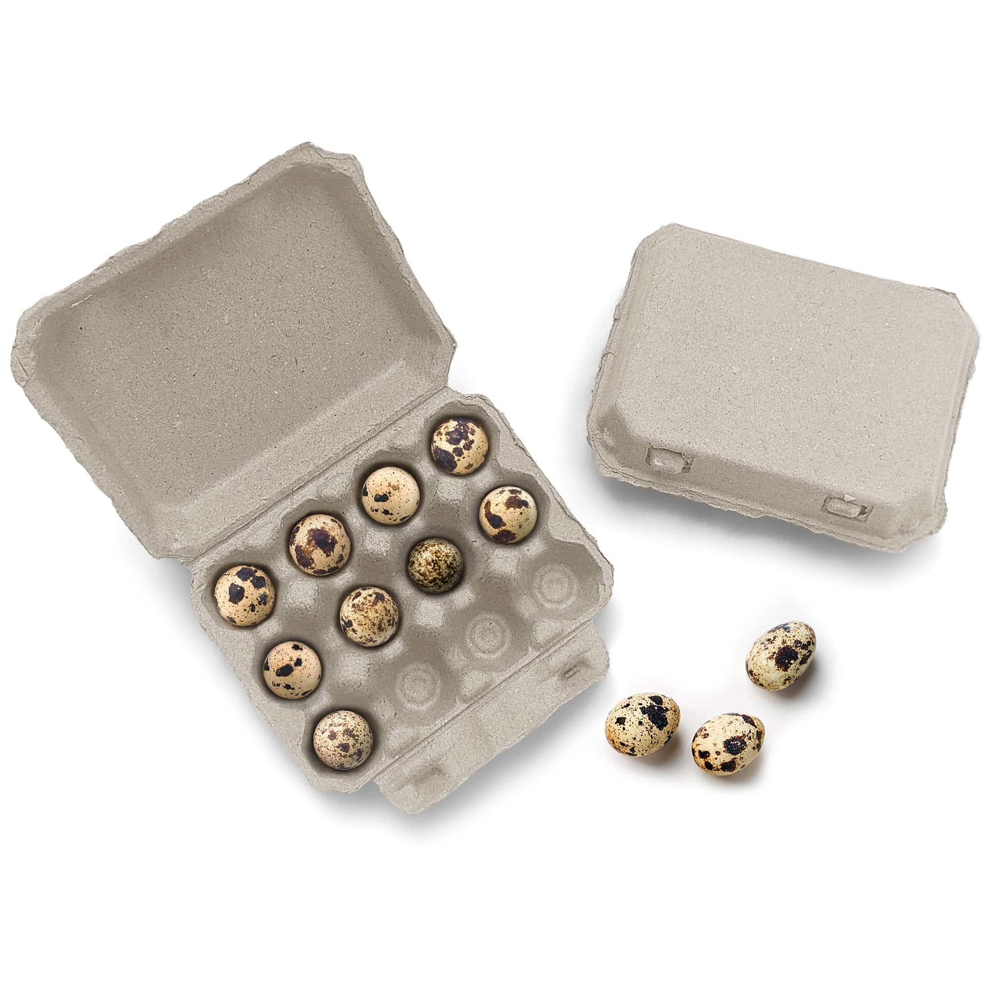 Henlay Quail Egg Carton for 12 Eggs