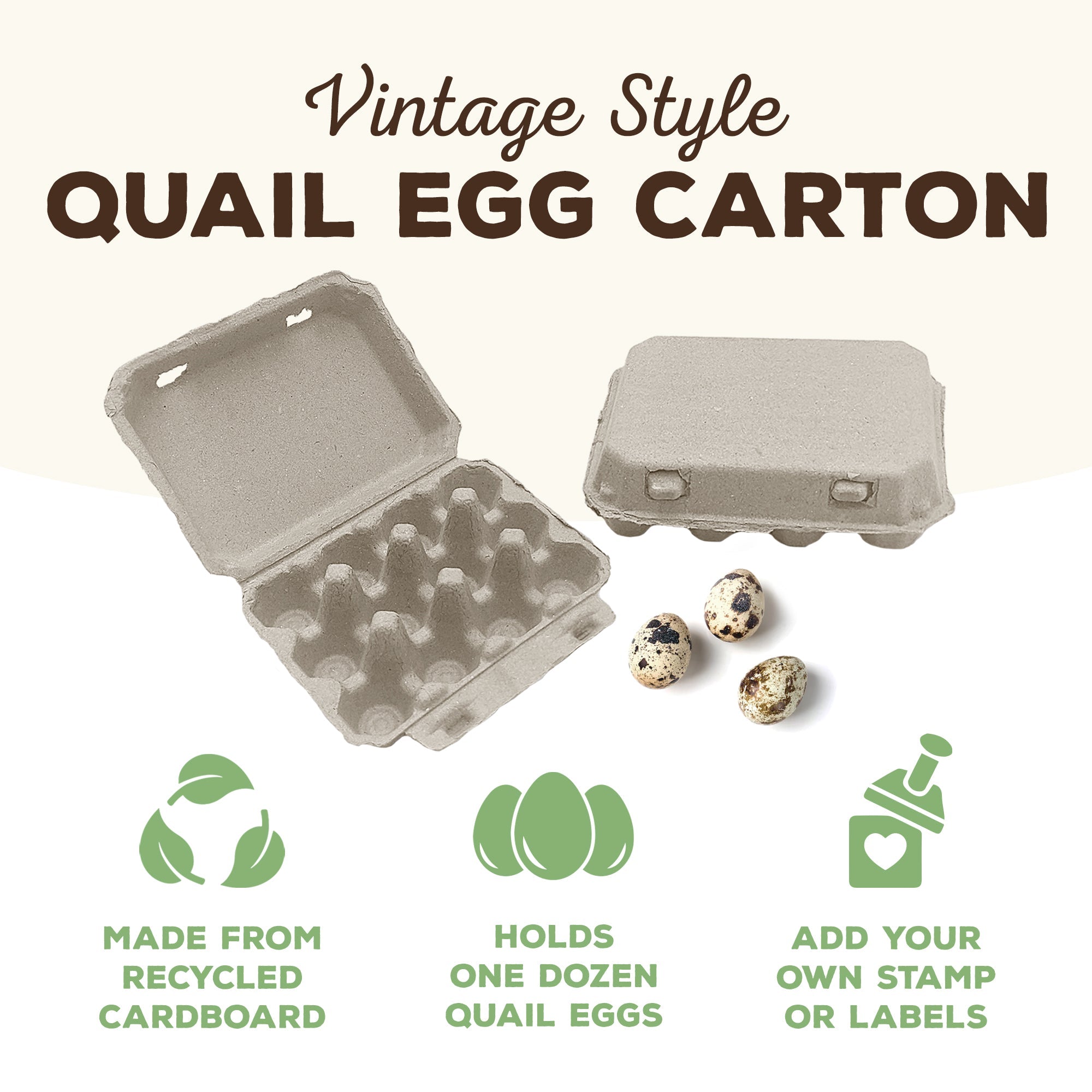 Henlay Quail Egg Carton for 12 Eggs
