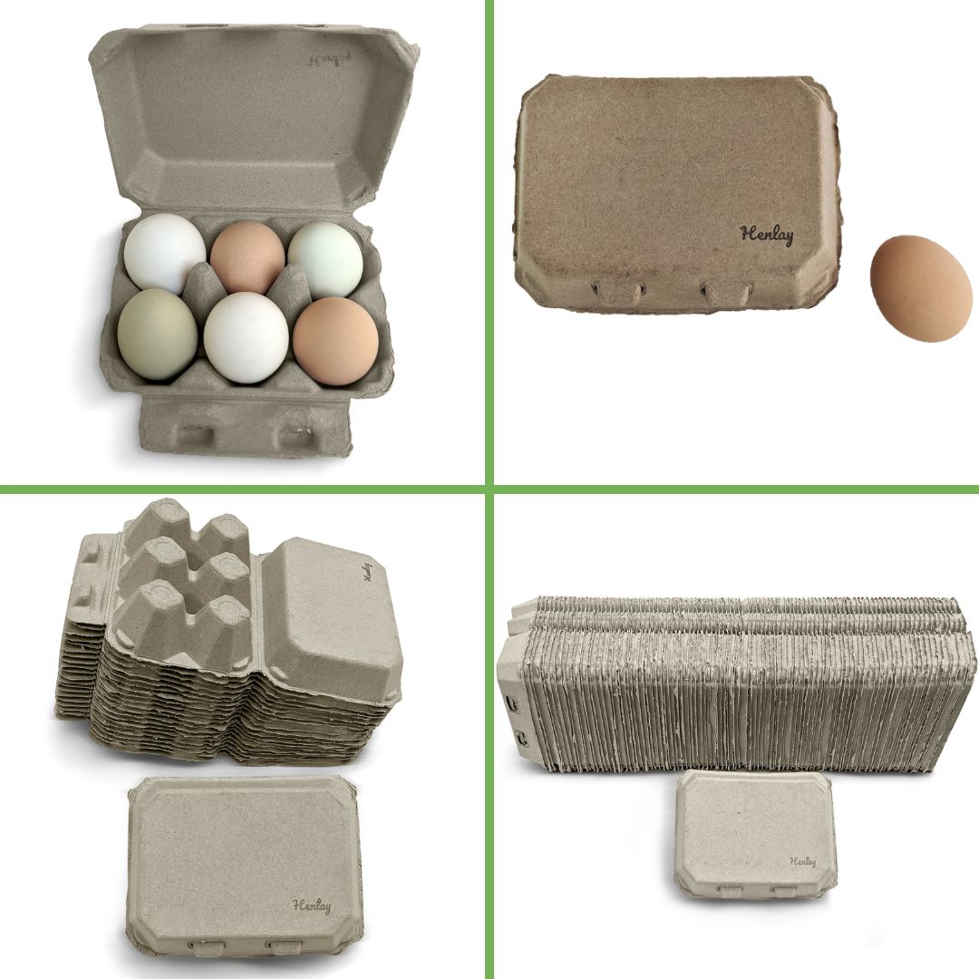 Henlay 6-egg carton for farm fresh chicken eggs