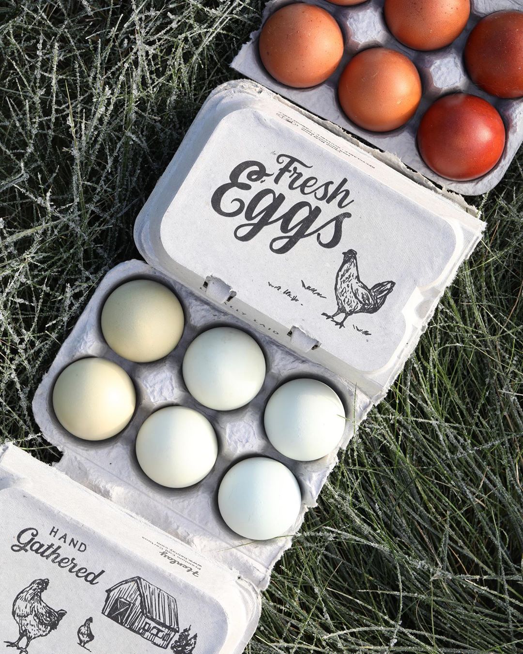 Henlay Vintage Farm Fresh Split Egg Cartons