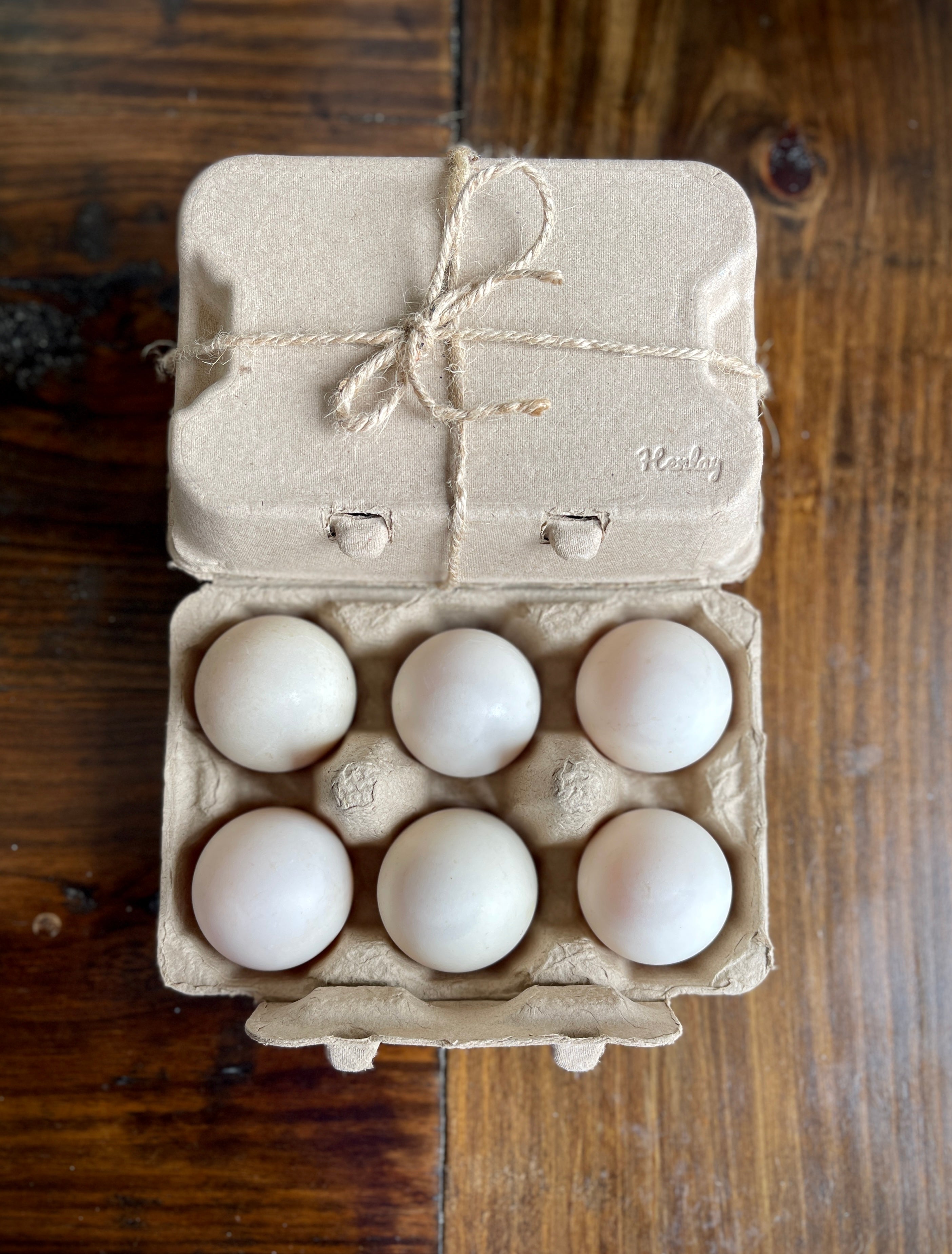 Henlay duck egg carton with double front clasp for secure closure
