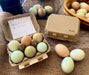 Henlay egg carton with blank top for custom stamp or sticker