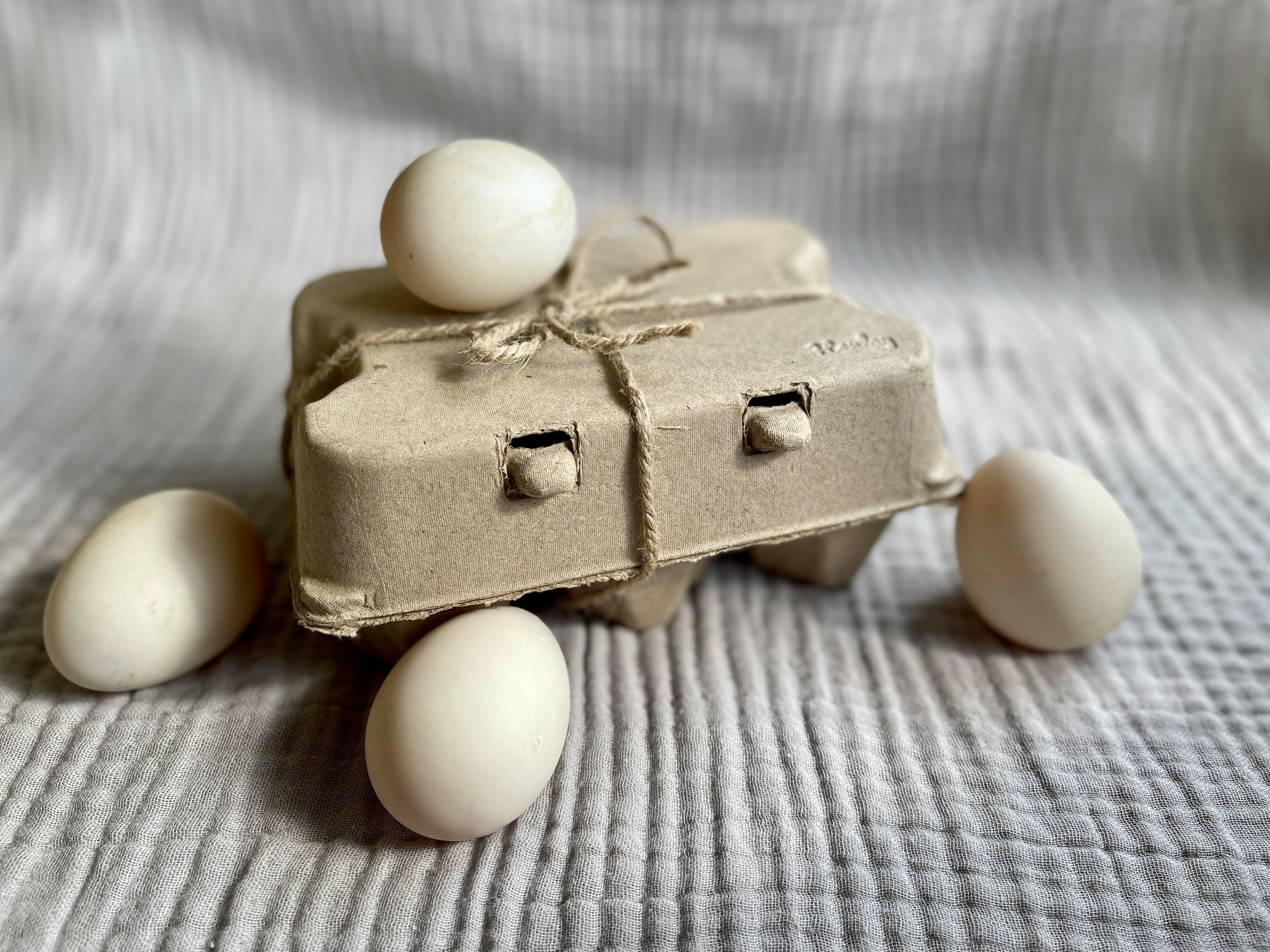 Henlay half dozen duck egg carton with six jumbo-sized cells