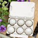 Henlay half dozen duck egg carton with six jumbo egg cells
