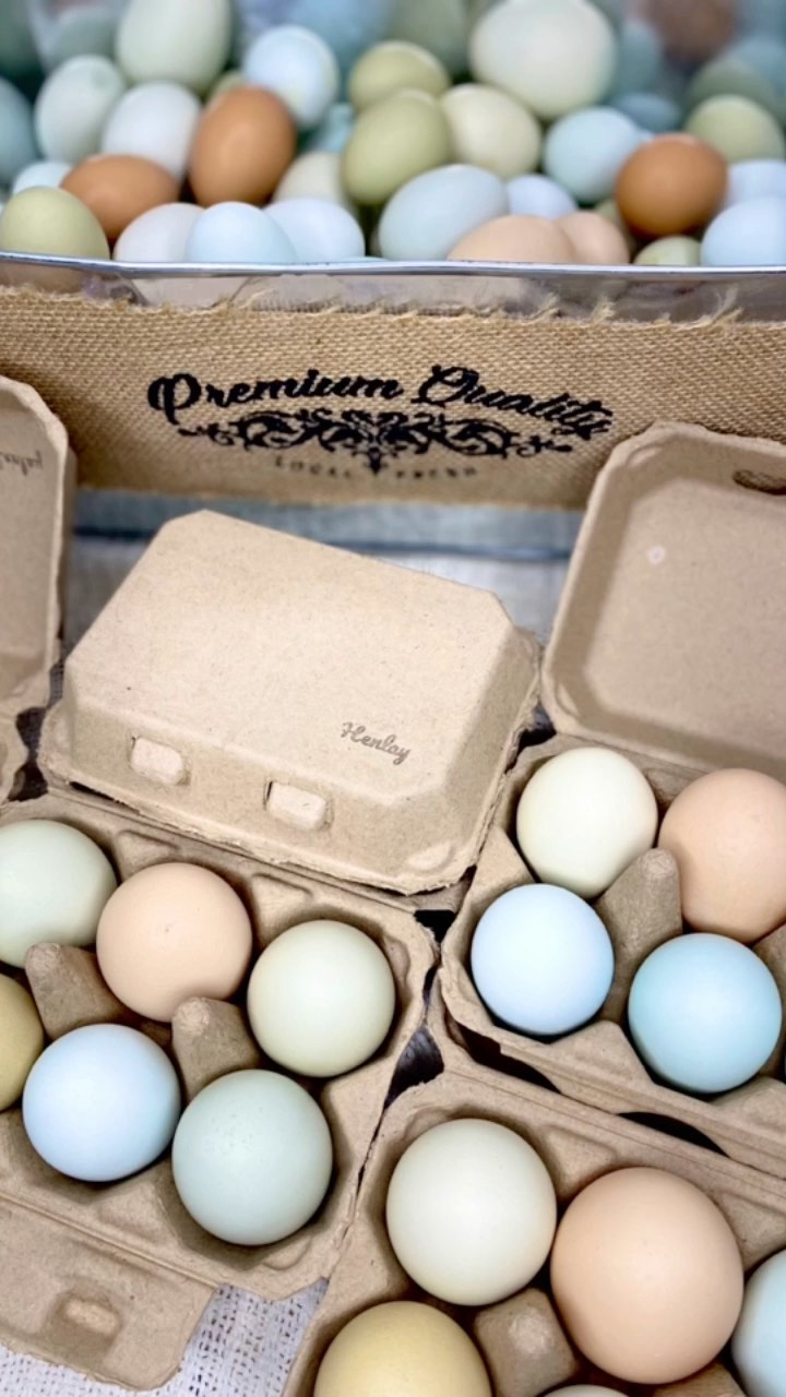 Henlay half dozen egg carton with blank customizable top