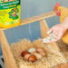 Herbal chicken coop pest defense for nesting areas and poultry dust baths