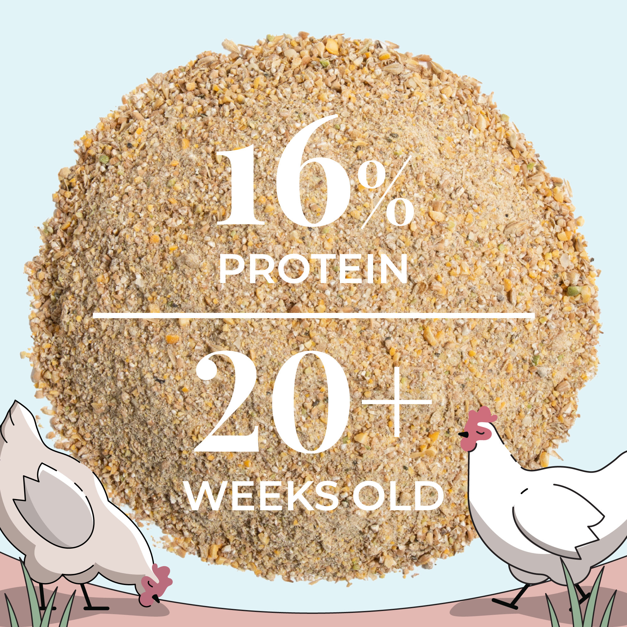 Mile Four Layer Feed Kit | 1 Month of Organic Feed, Scratch, Grit & Oyster Shell for 6 Layers