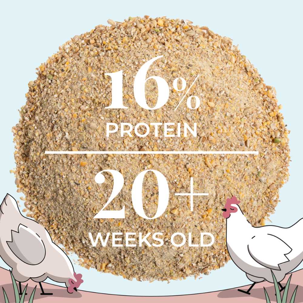 Mile Four Layer Organic Chicken Feed