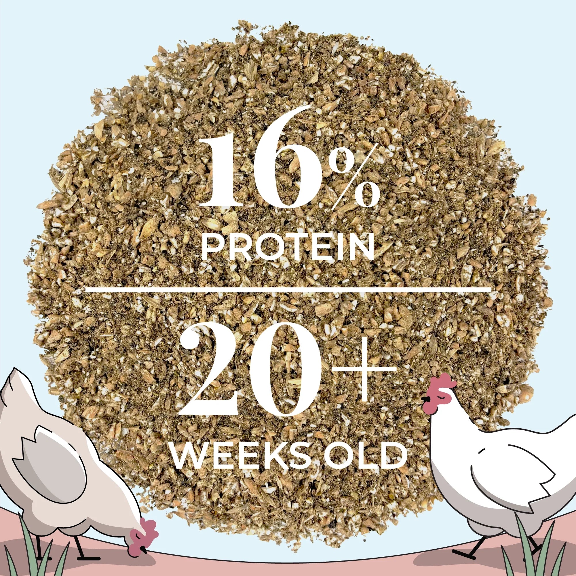 Big Flock Bundle | 2 Months of Organic Feed, Grit & Oyster Shell for 20 Layer Hens - Mile Four