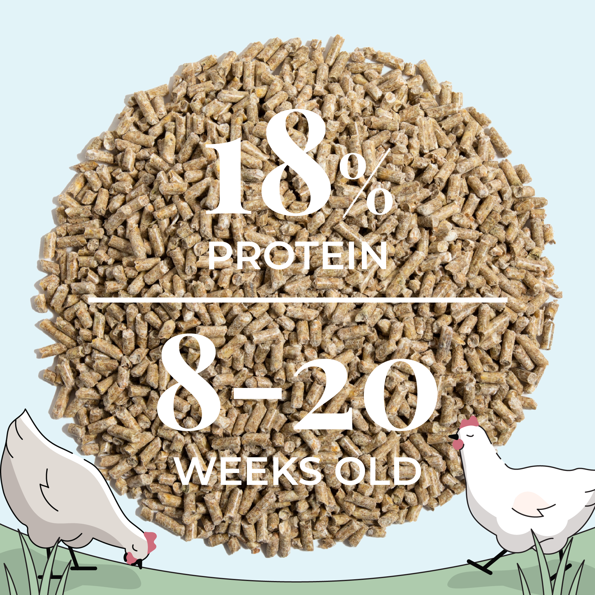 Mile Four Grower Feed Kit | 12 Weeks of Organic Feed & Grit for 6 Pullets