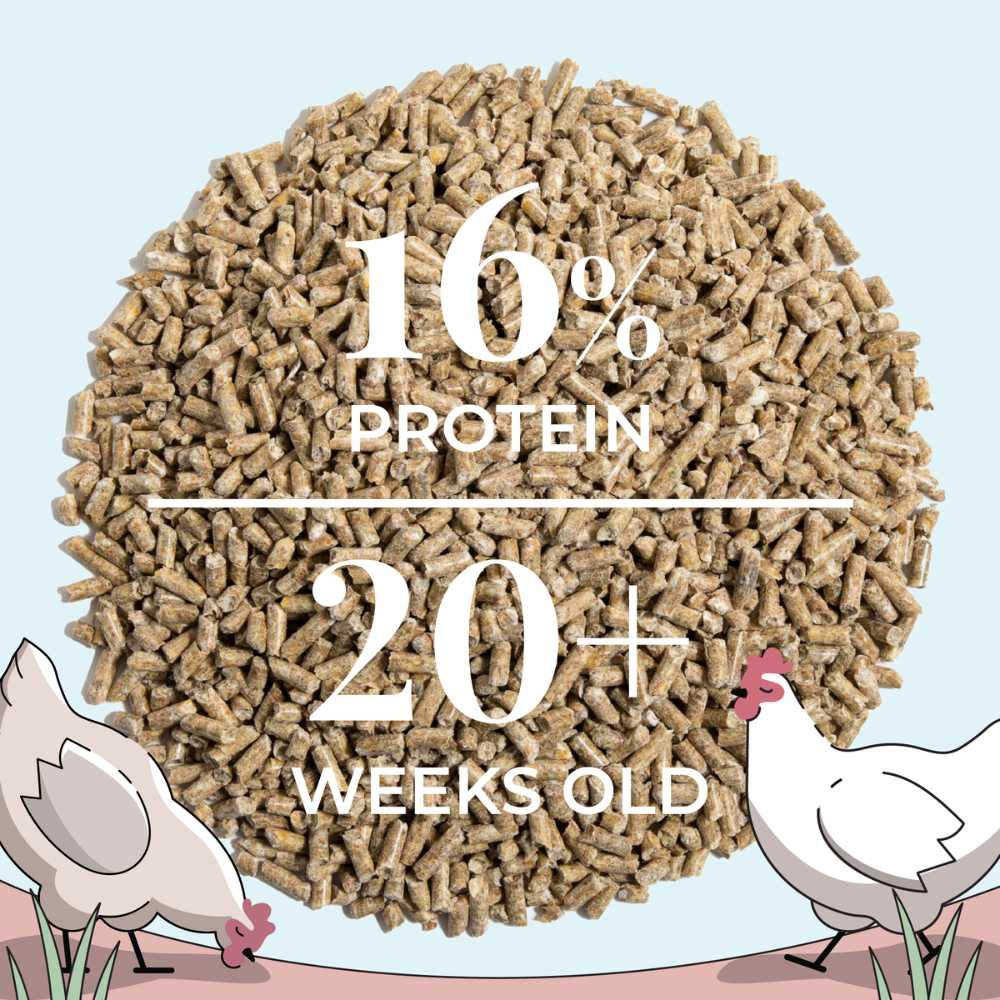 Mile Four Layer Organic Chicken Feed