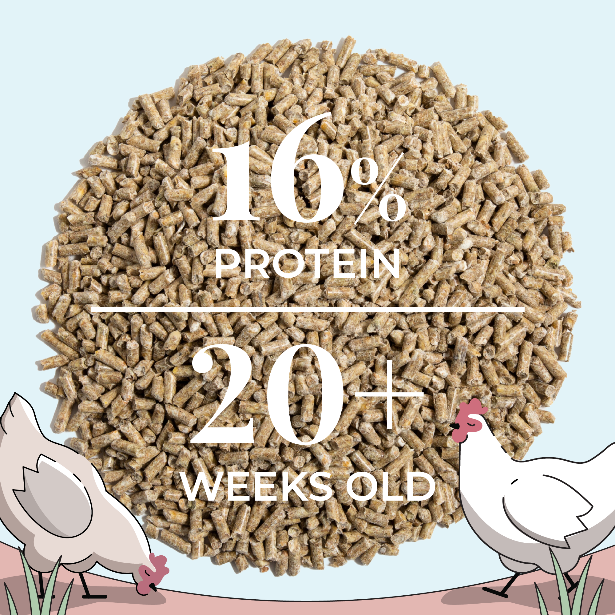 Mile Four Layer Feed Kit | 1 Month of Organic Feed, Scratch, Grit & Oyster Shell for 6 Layers
