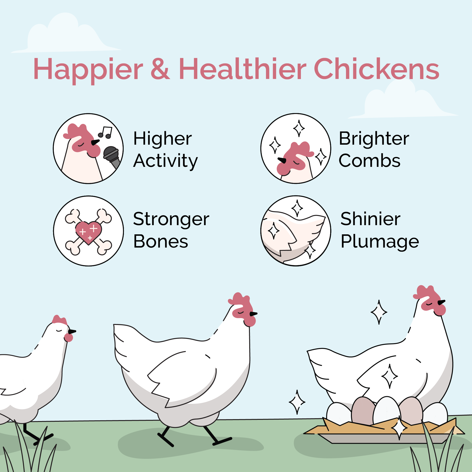 Mile Four Grower Feed Kit | 12 Weeks of Organic Feed & Grit for 6 Pullets