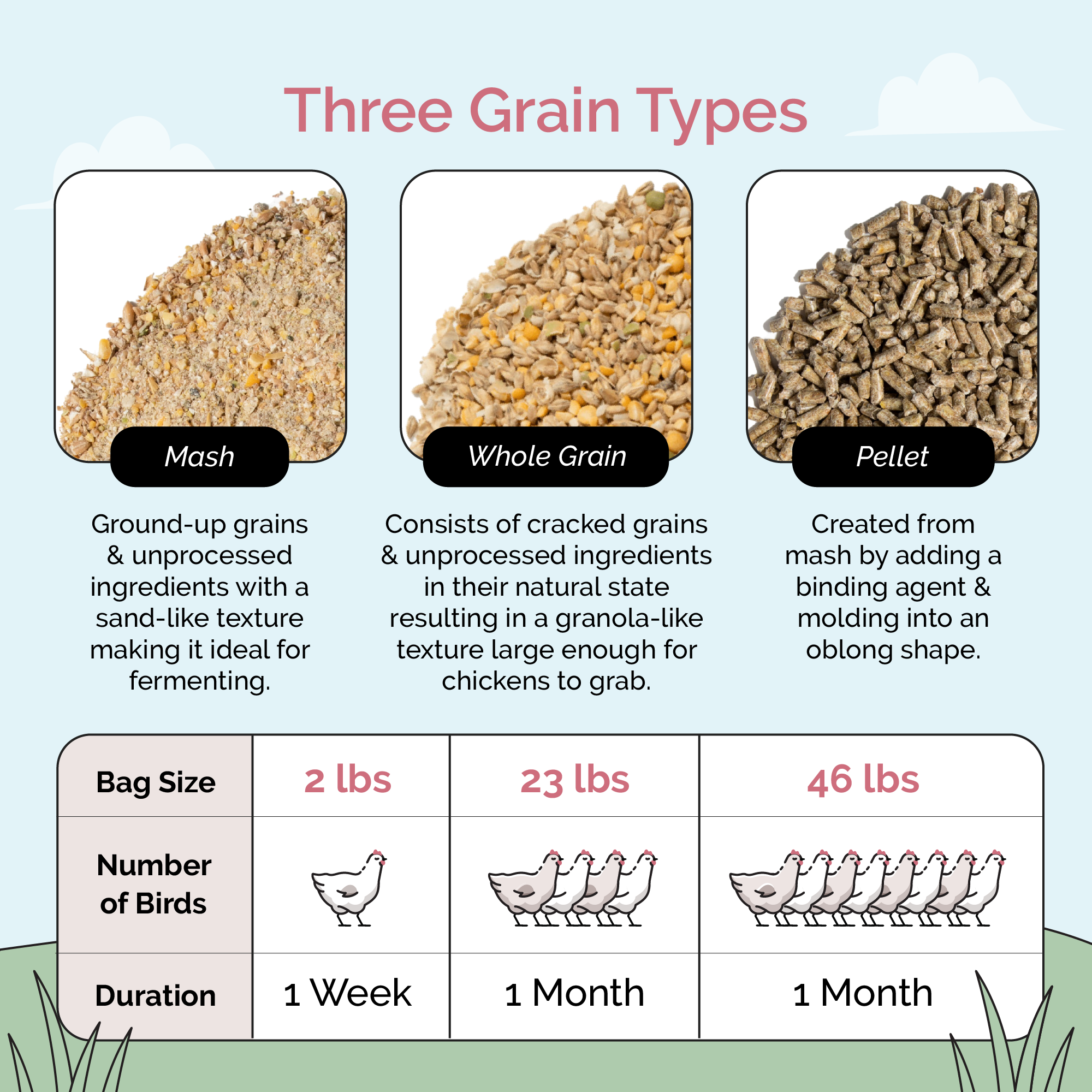 Mile Four Grower Feed Kit | 12 Weeks of Organic Feed & Grit for 6 Pullets