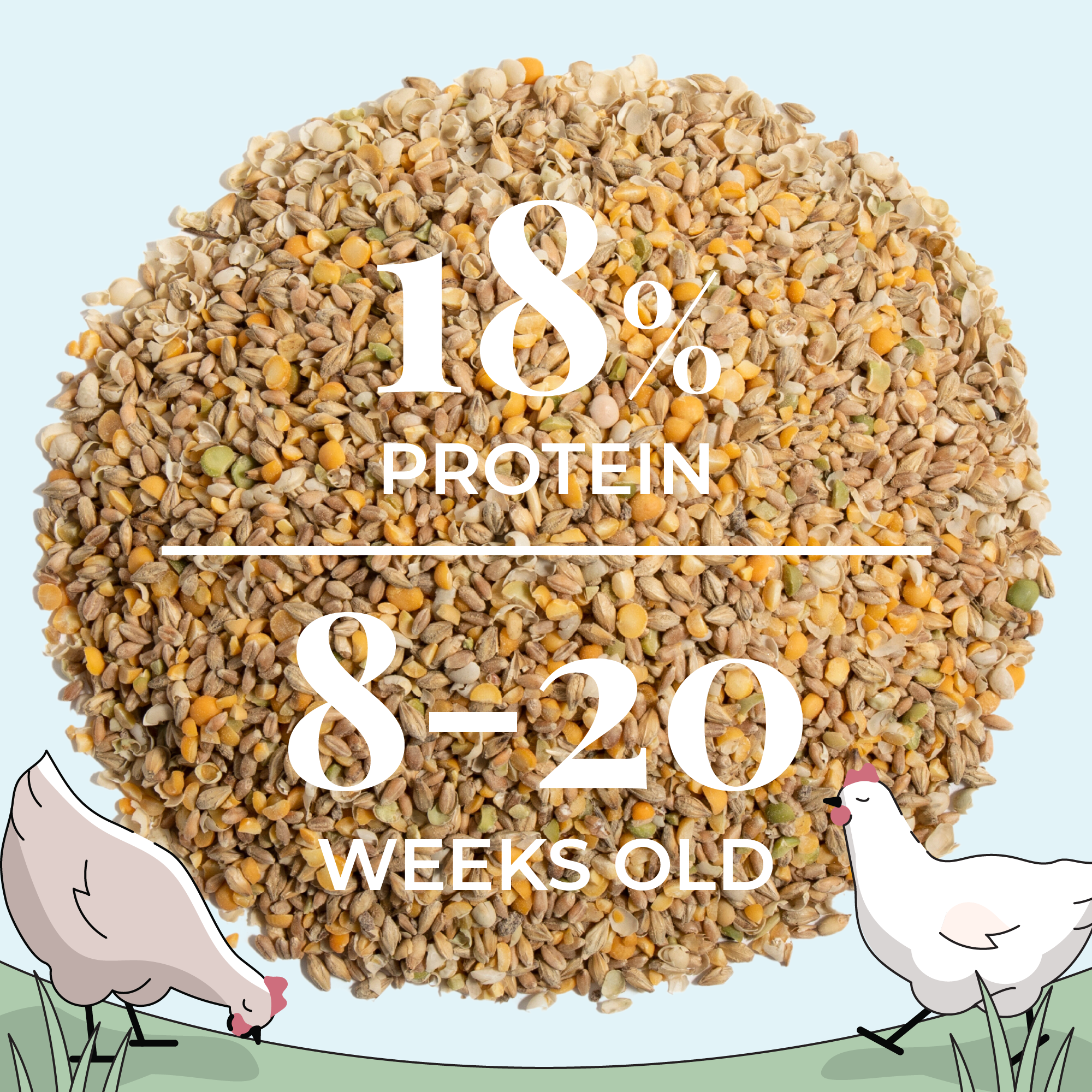 Mile Four Grower Feed Kit | 12 Weeks of Organic Feed & Grit for 6 Pullets