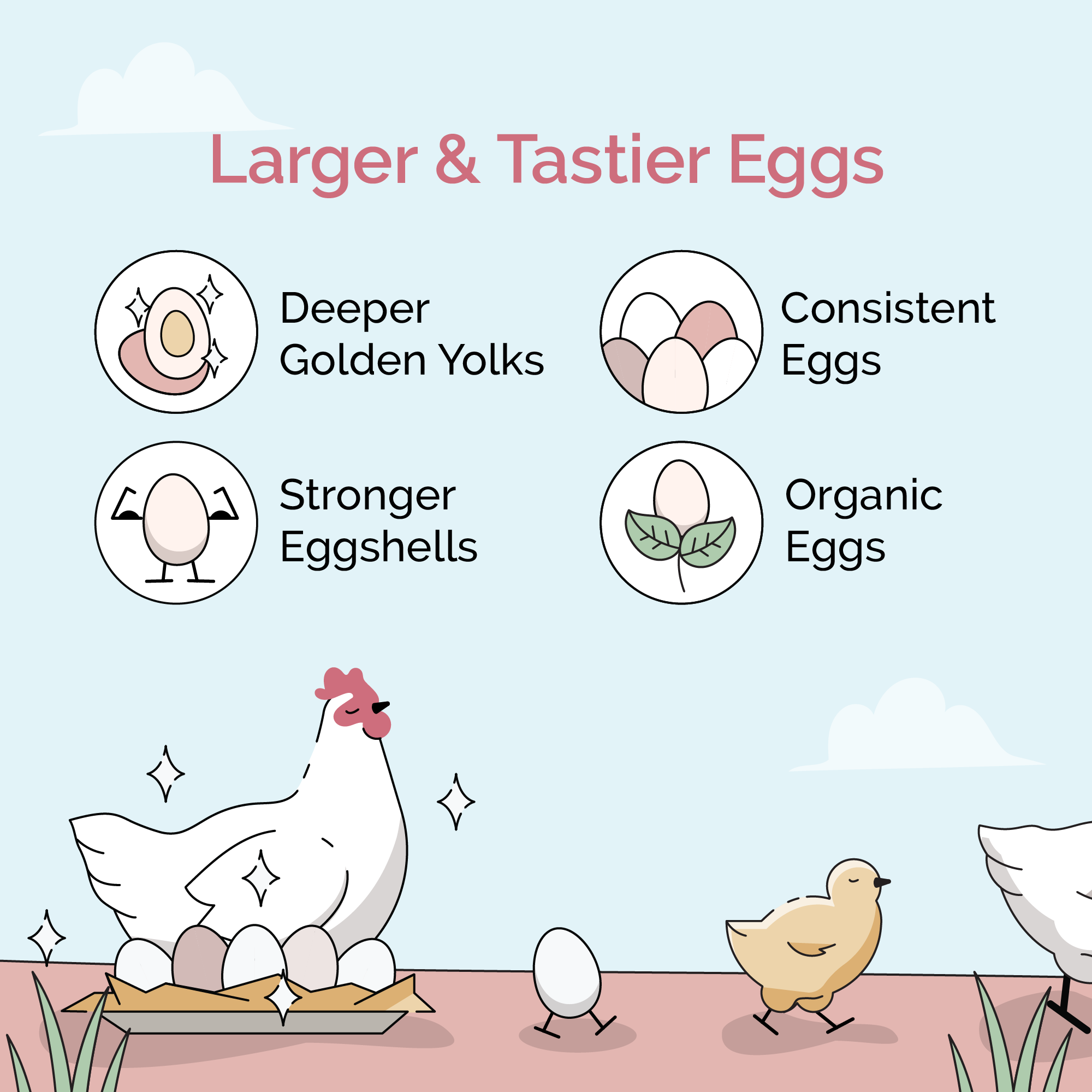 Mile Four Layer Feed Kit | 1 Month of Organic Feed, Scratch, Grit & Oyster Shell for 6 Layers