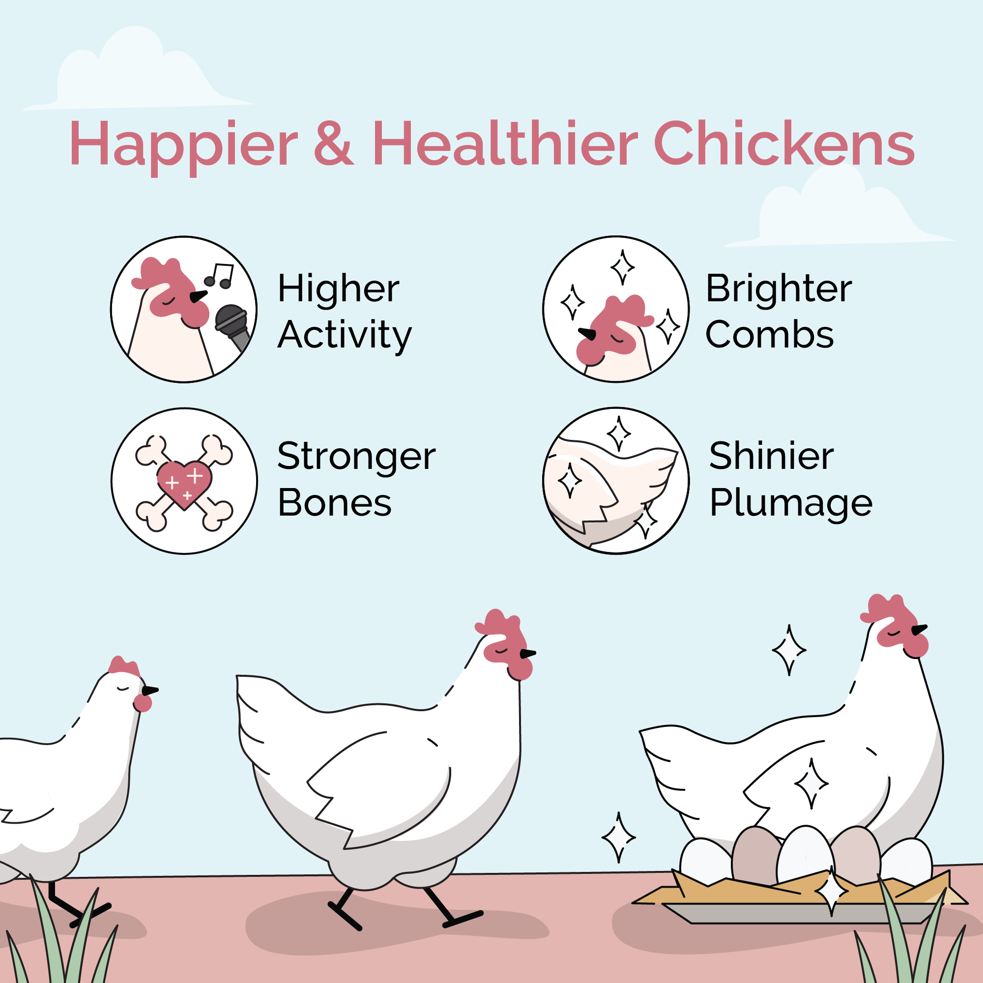 Mile Four Layer Feed Kit | 1 Month of Organic Feed, Scratch, Grit & Oyster Shell for 6 Layers