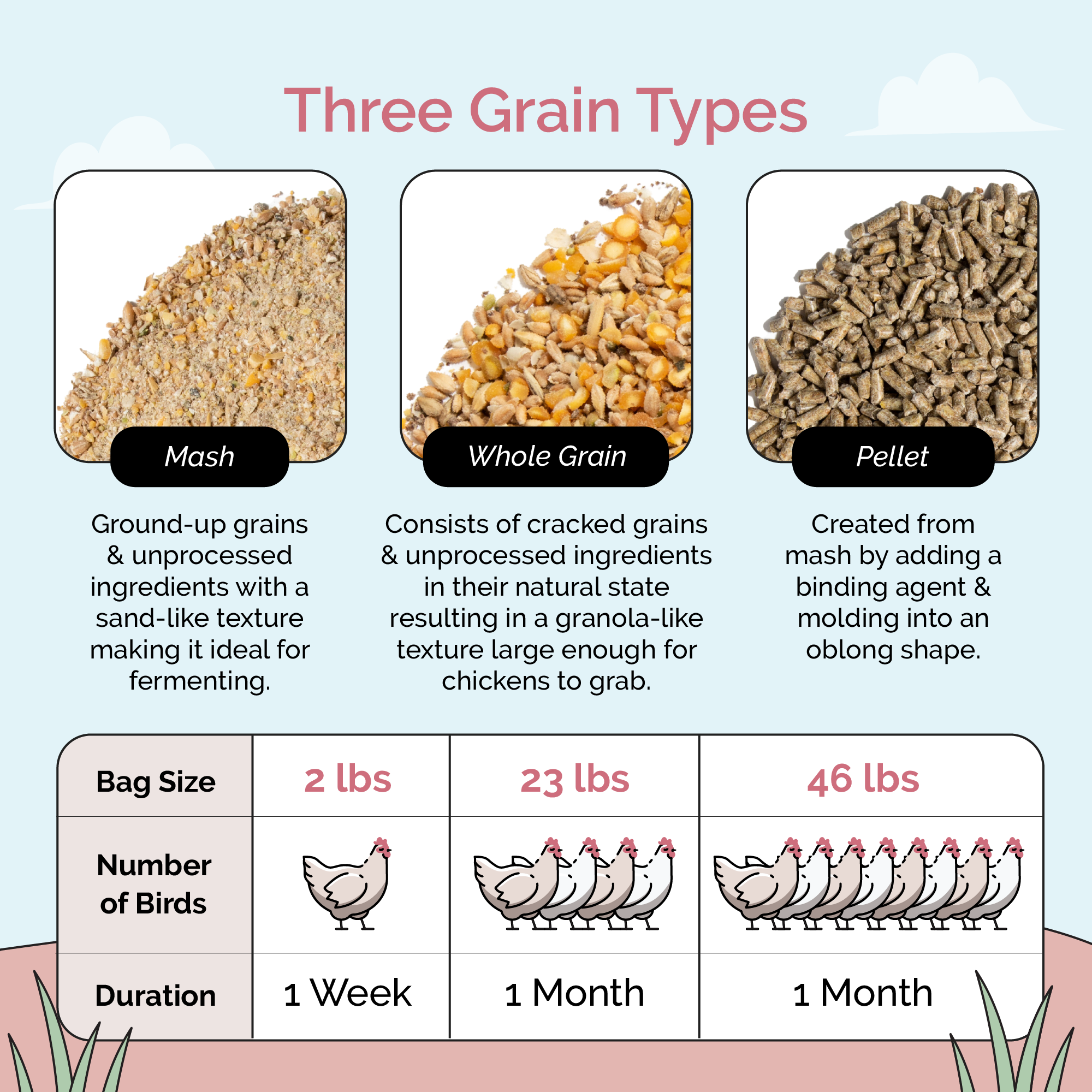 Mile Four Layer Feed Kit | 1 Month of Organic Feed, Scratch, Grit & Oyster Shell for 6 Layers