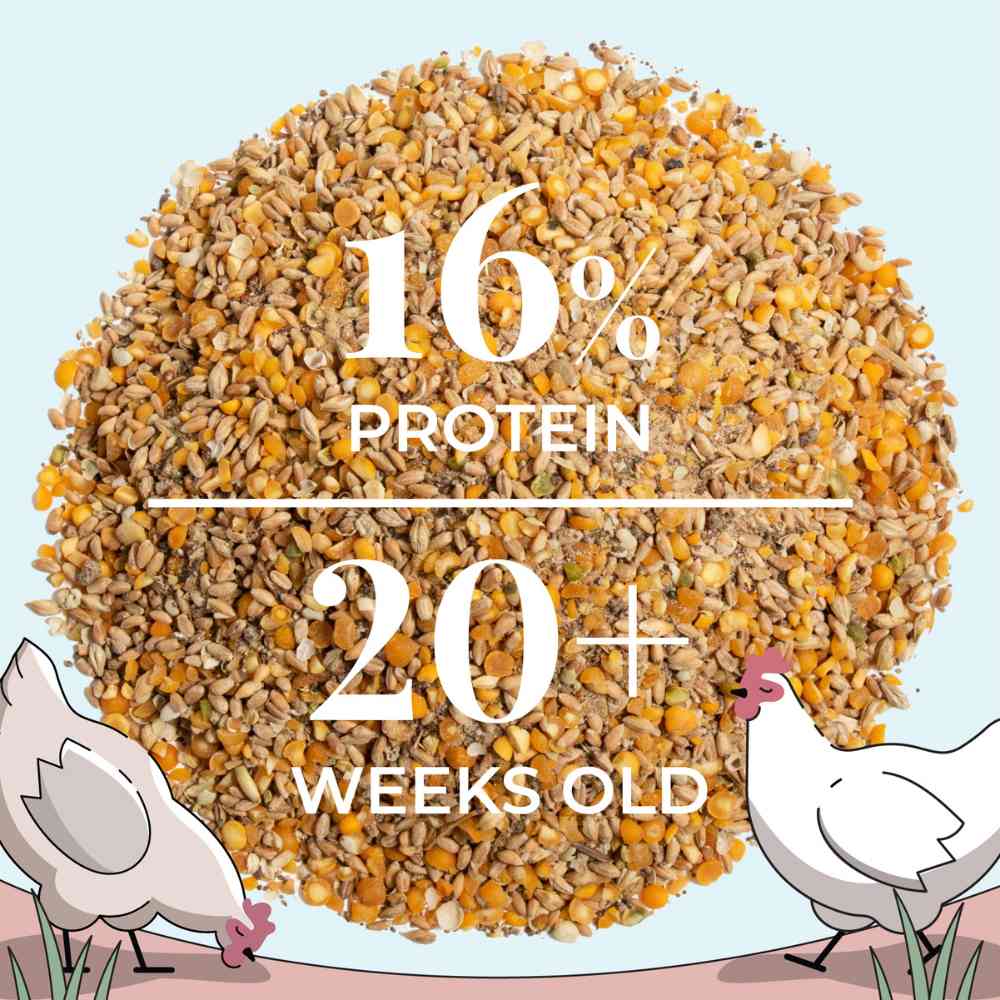Mile Four Layer Organic Chicken Feed