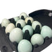 Hollow Quail Egg Shells for Crafts