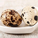Hollow Quail Eggs Perfect for Crafting and Decoration