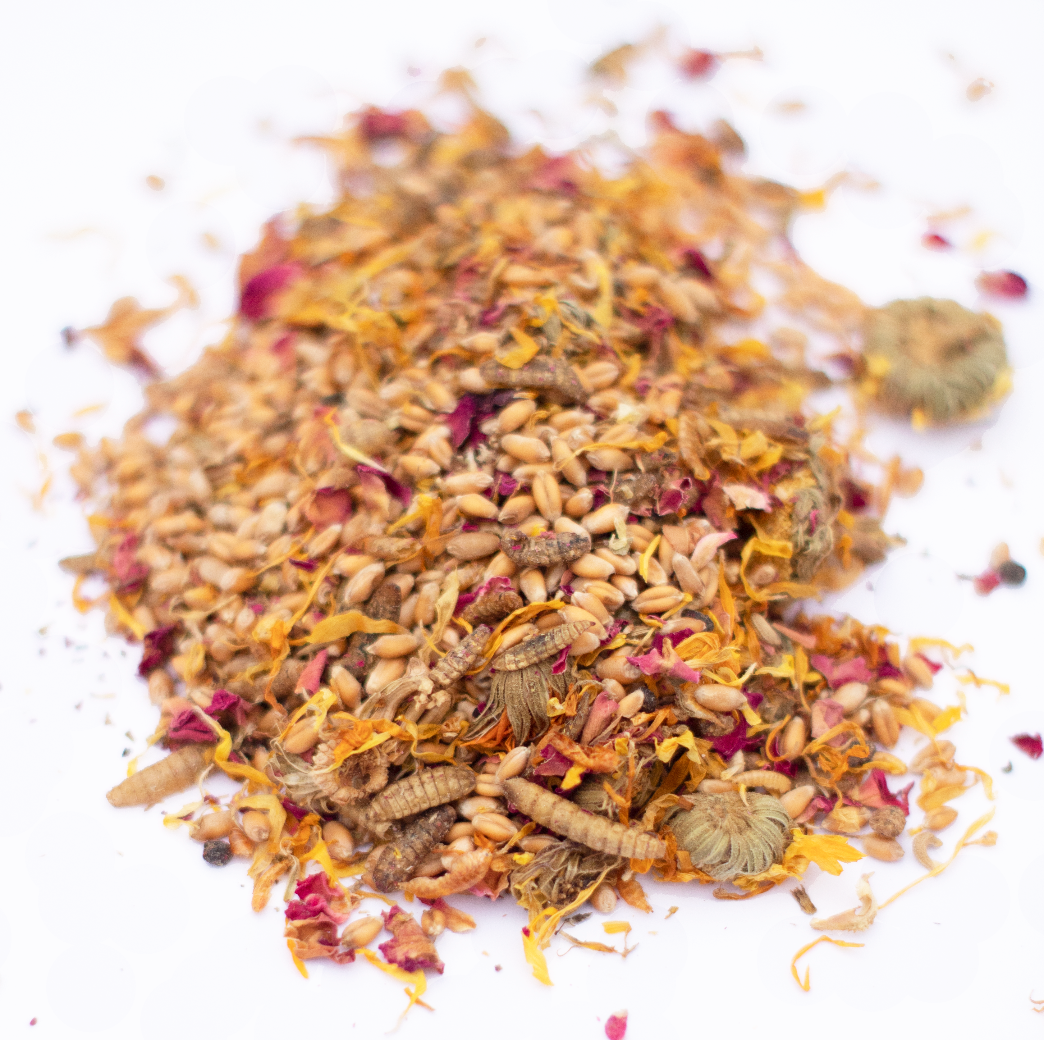 Pampered Chicken Mama PowerHen (TM) High Protein Treat With Mealworms, Black Soldier Fly Larvae, & Herbs For Backyard Chickens