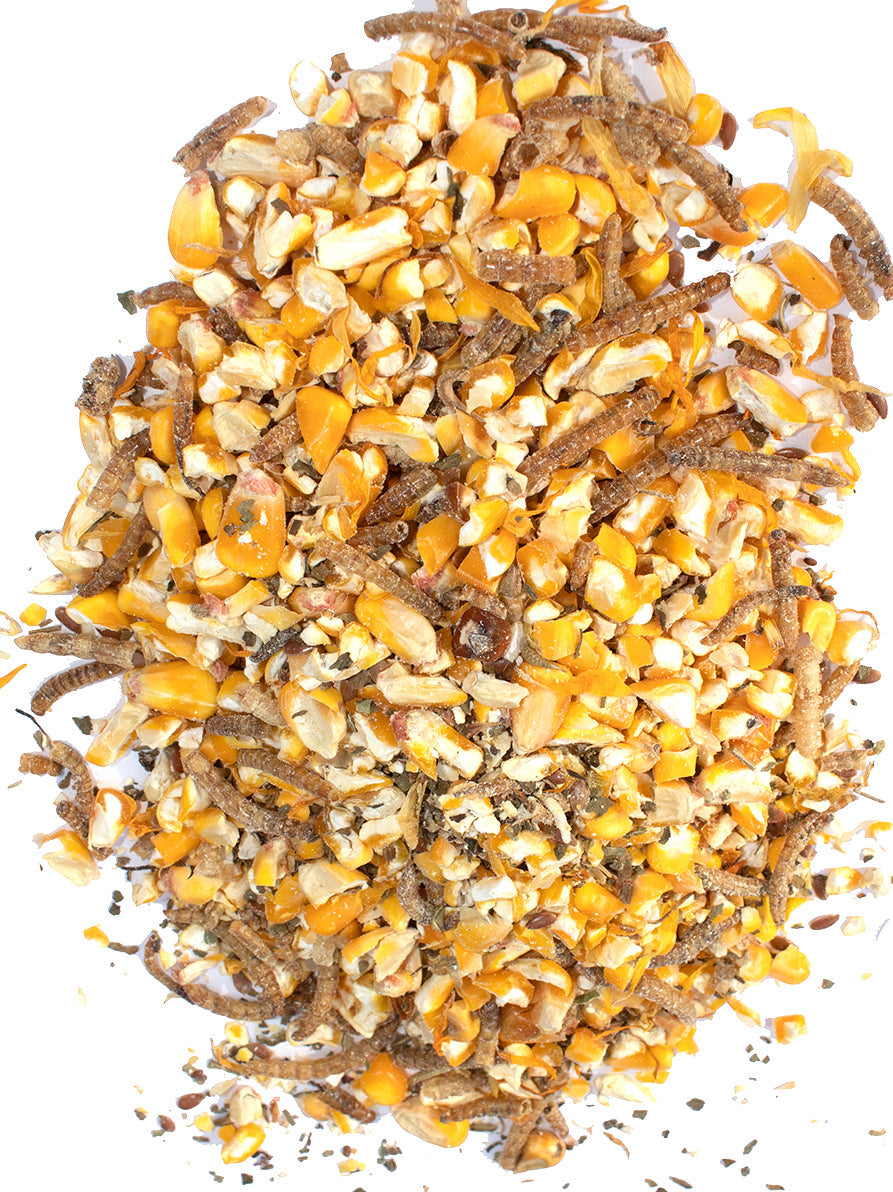 Pampered Chicken Mama Poultry Queen Mealworm, Non-GMO Corn, Non-GMO Flax, & Herb Treat For Pet Chickens