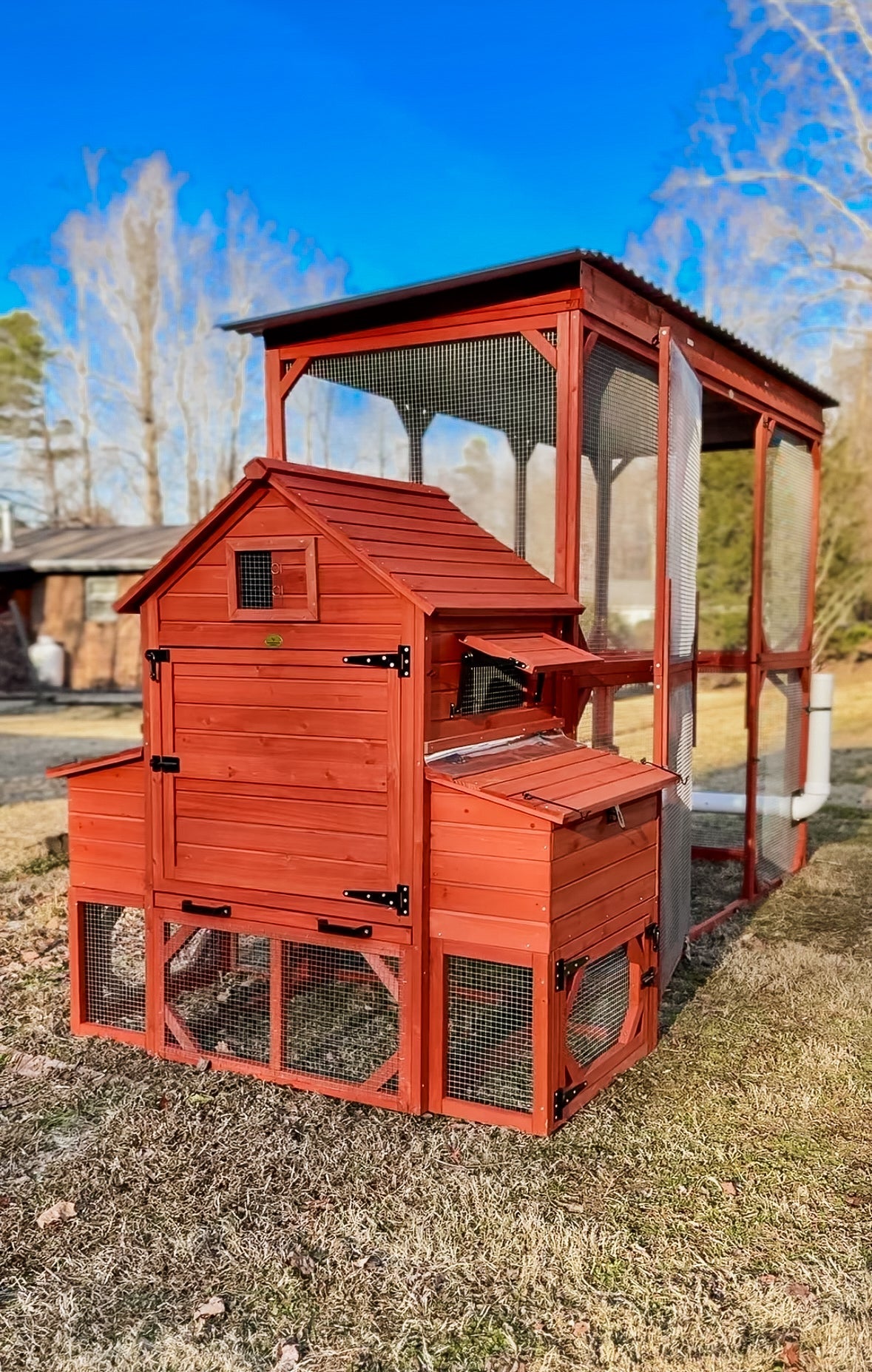 Chicken Coop Kit for 6 Chickens | Orpington Lodge