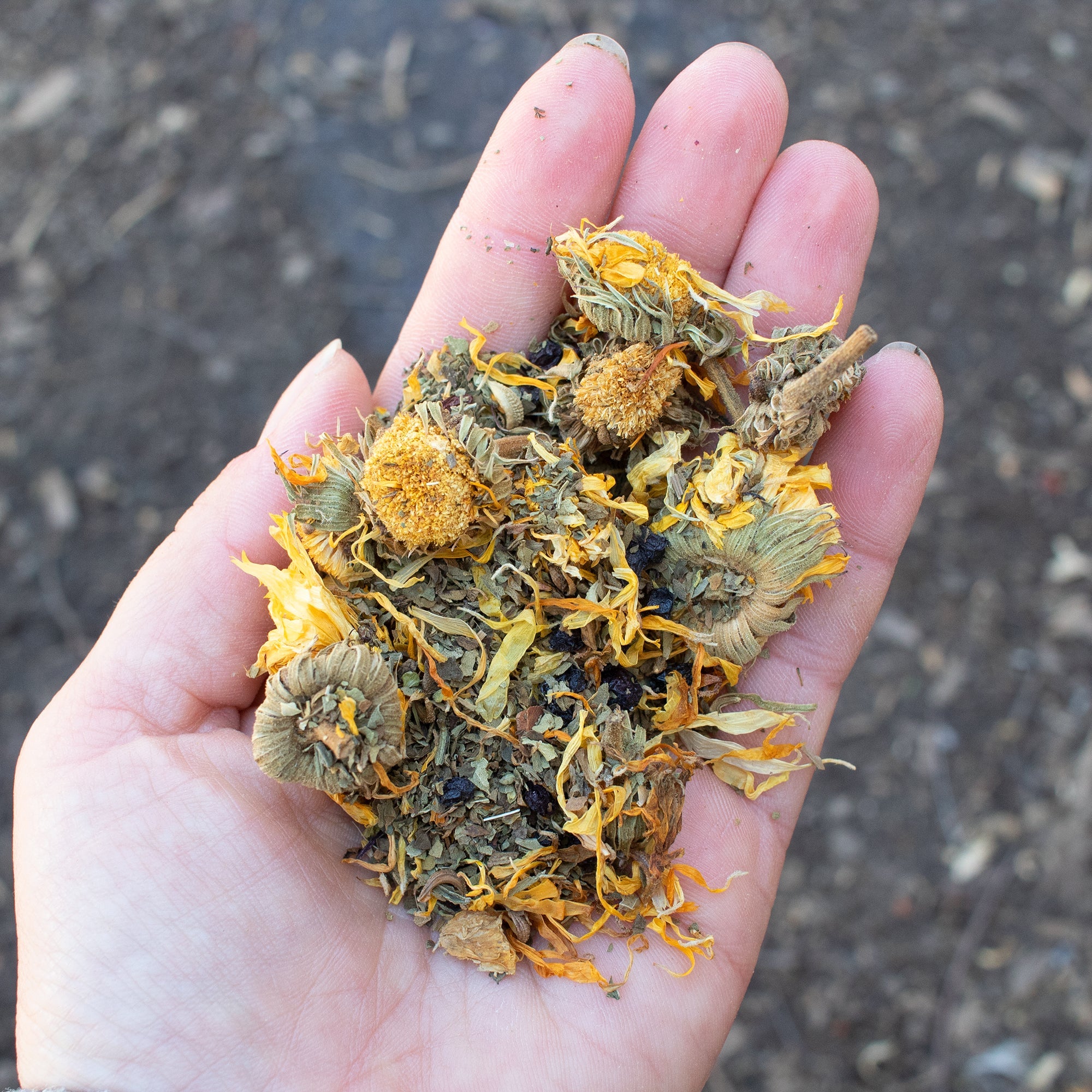 Pampered Chicken Mama StrongHen Herbs For Backyard Chickens, Coops, & Nesting Boxes