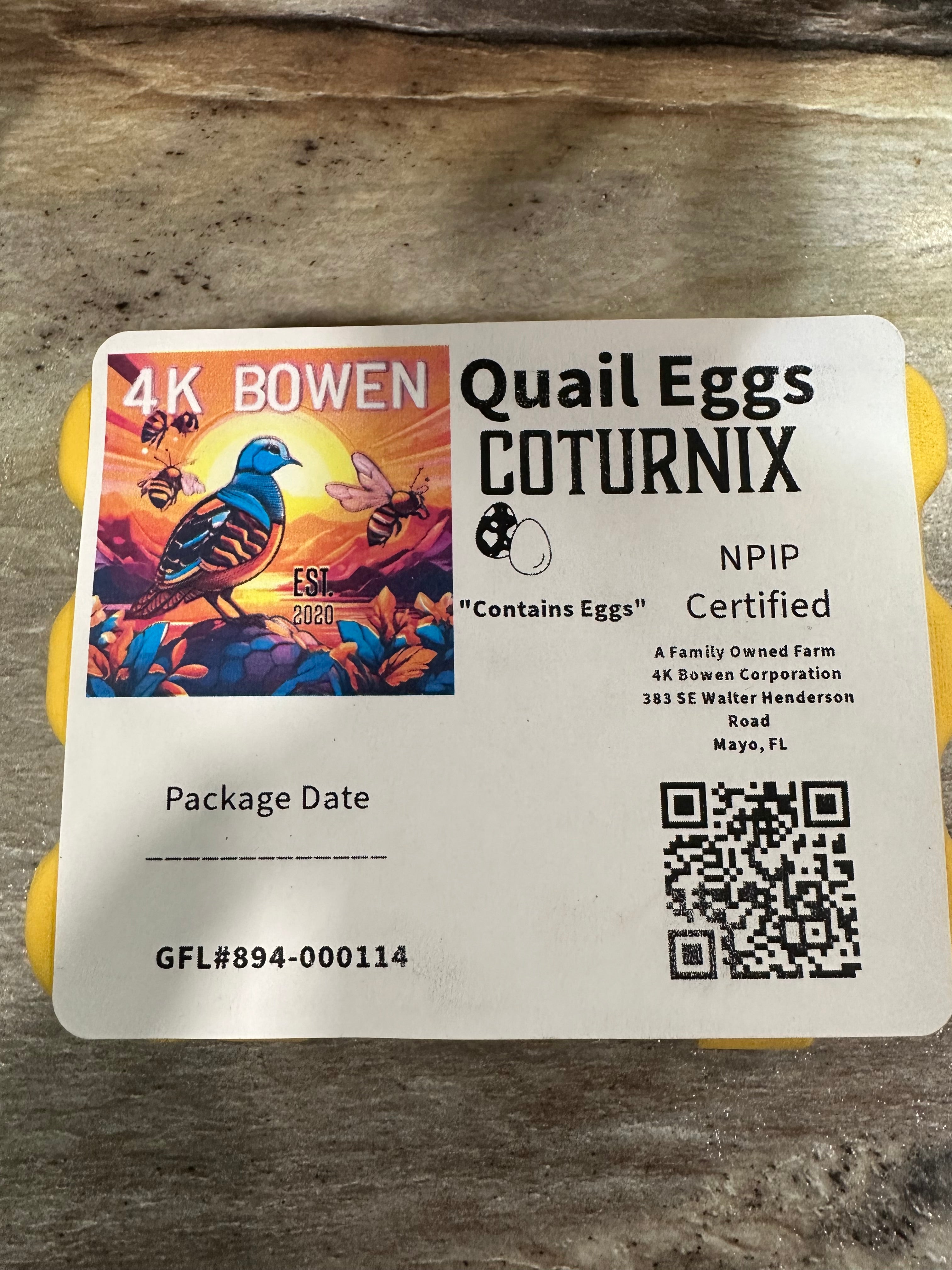 36 Jumbo Coturnix Quail Eggs Starter Kit