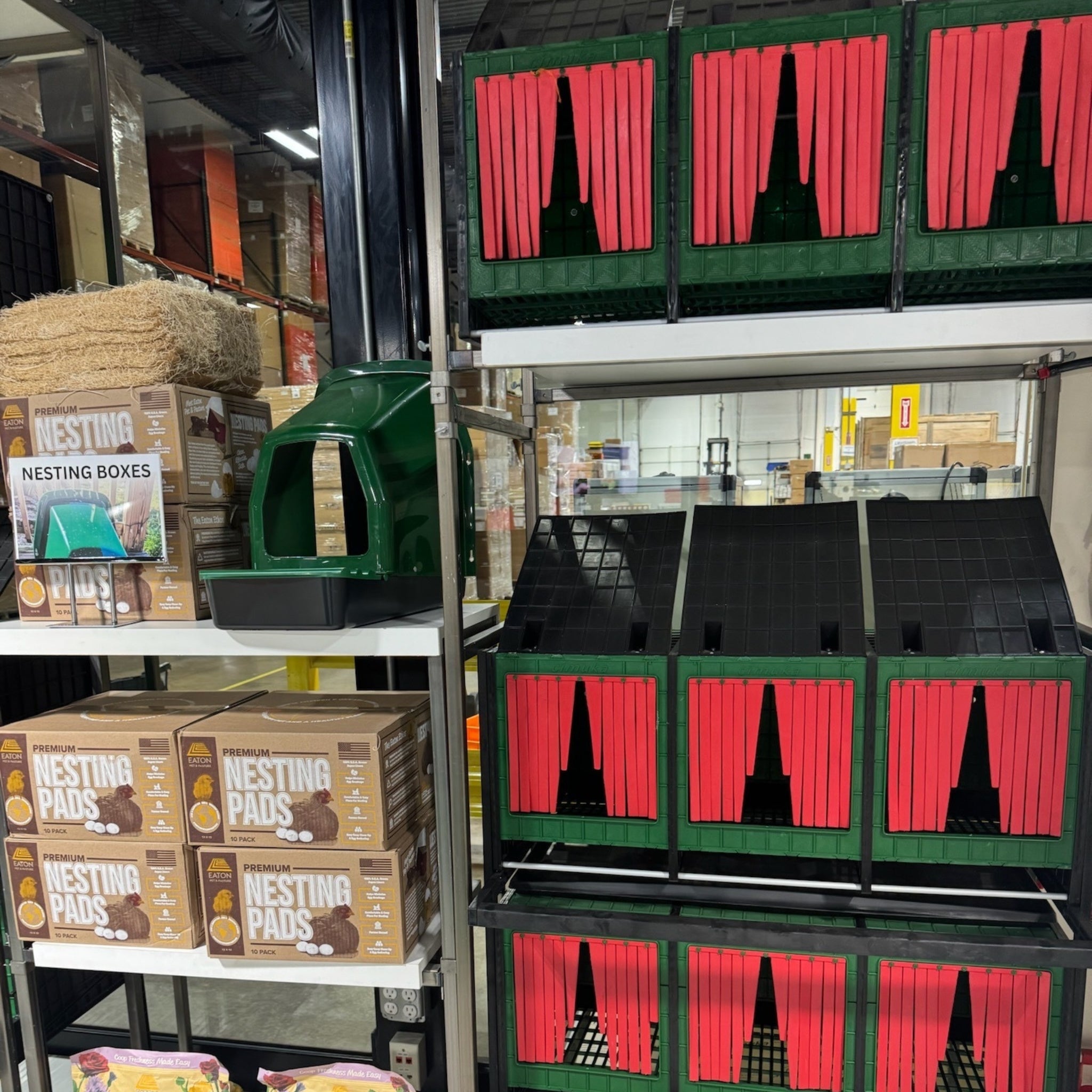 Impact-resistant plastic chicken nest box designed for large hens