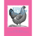 Wyandotte Chickens and How To Judge Them: Chicken Breeds Book 7