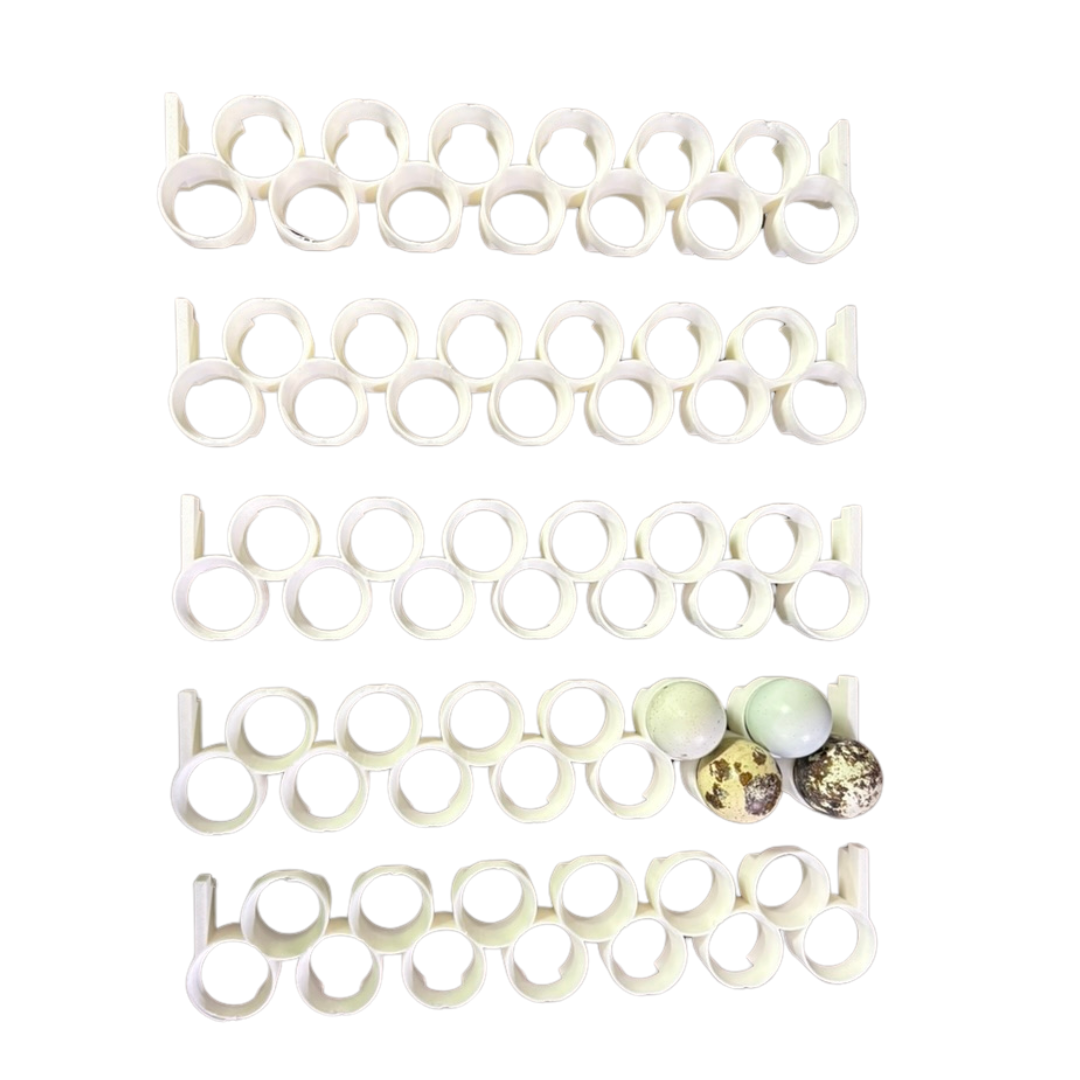 Jumbo quail egg rails for Cimuka and Hatching Time Conturn racks