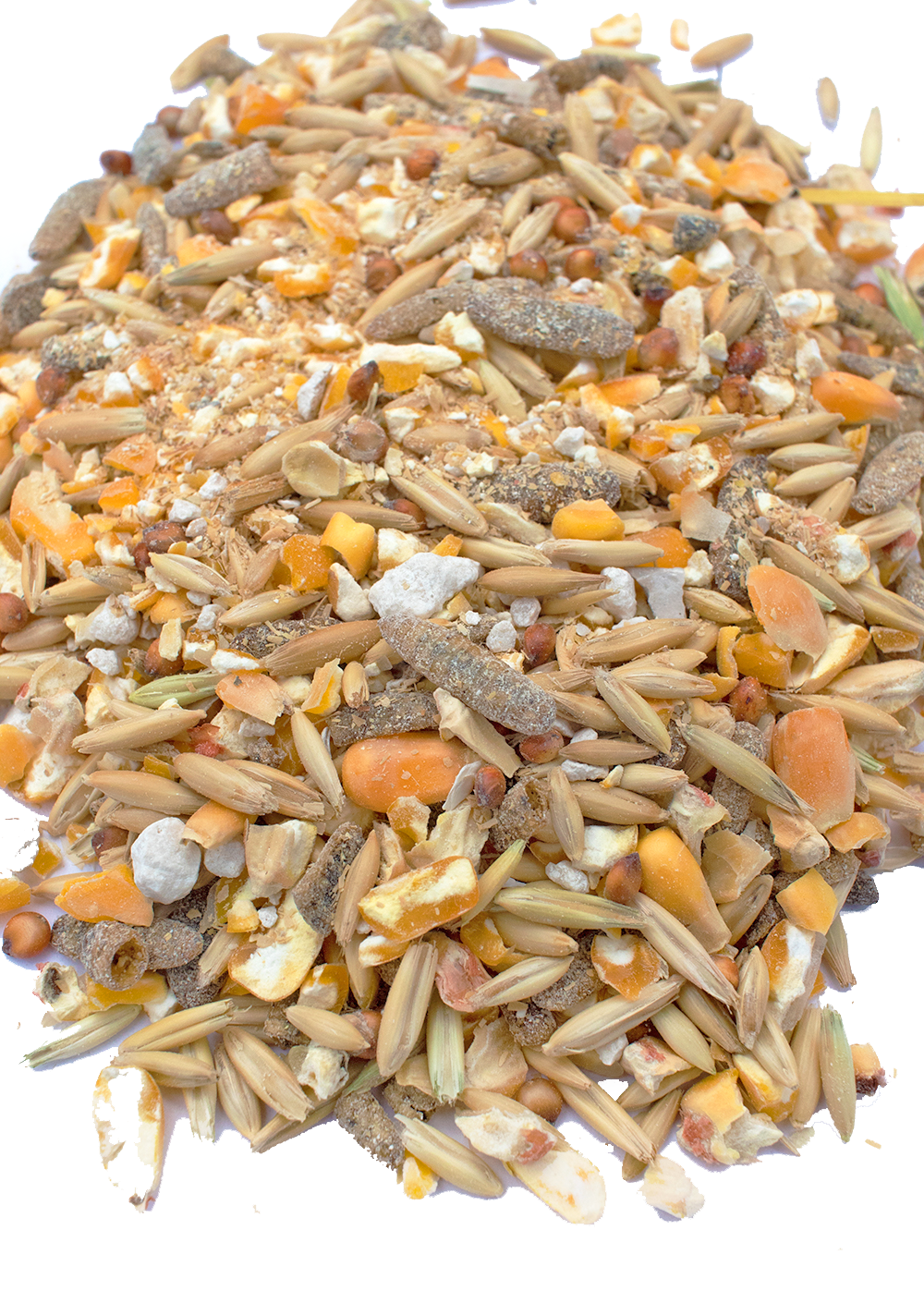 Pampered Chicken Mama 16% Premium Layer Feed With Black Soldier Fly Larvae, Fishmeal, & Herbs {Soy Free + High Protein}