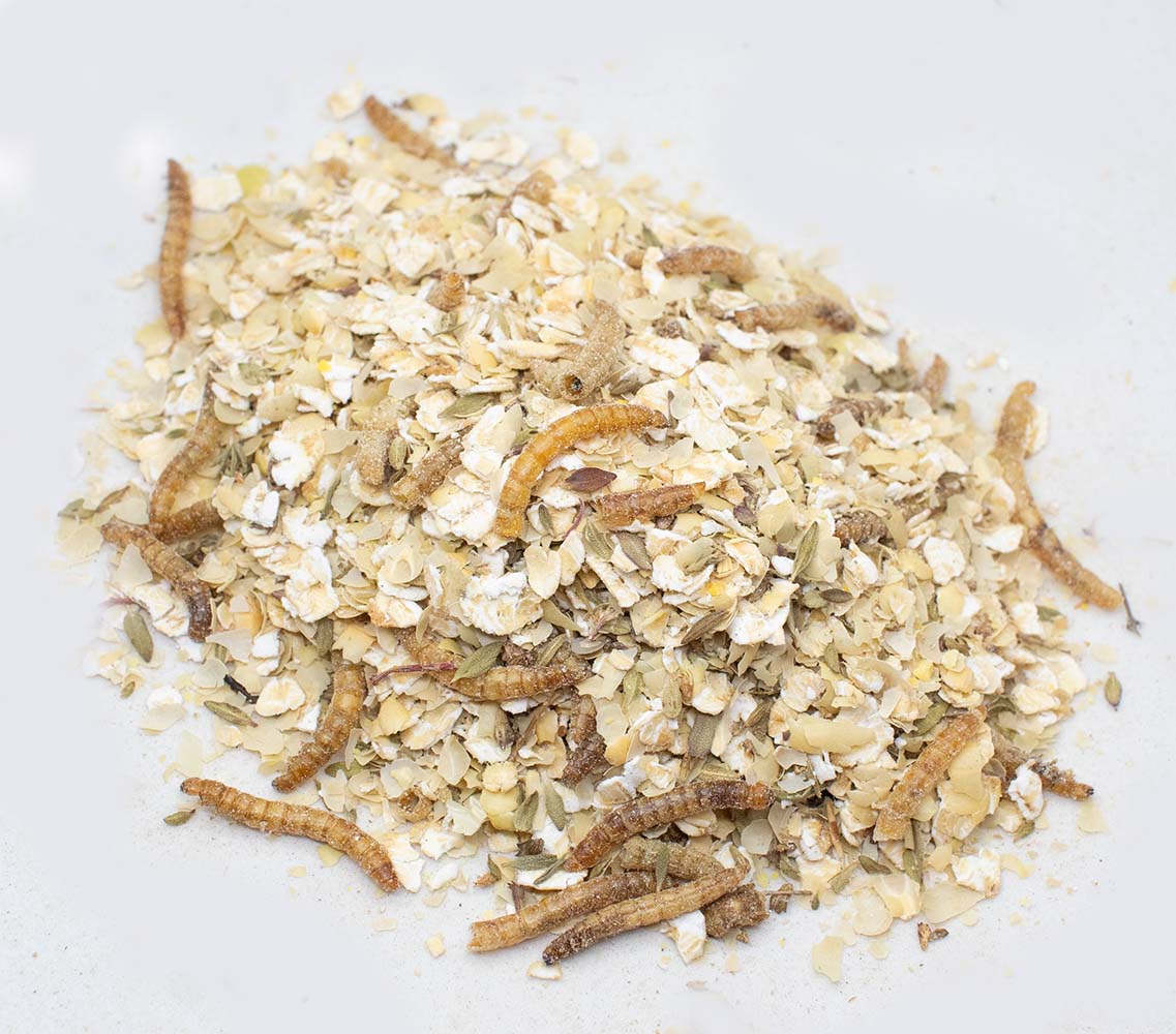 Pampered Chicken Mama Valentine's Goody Box - 7 Treats (12 pounds total!)