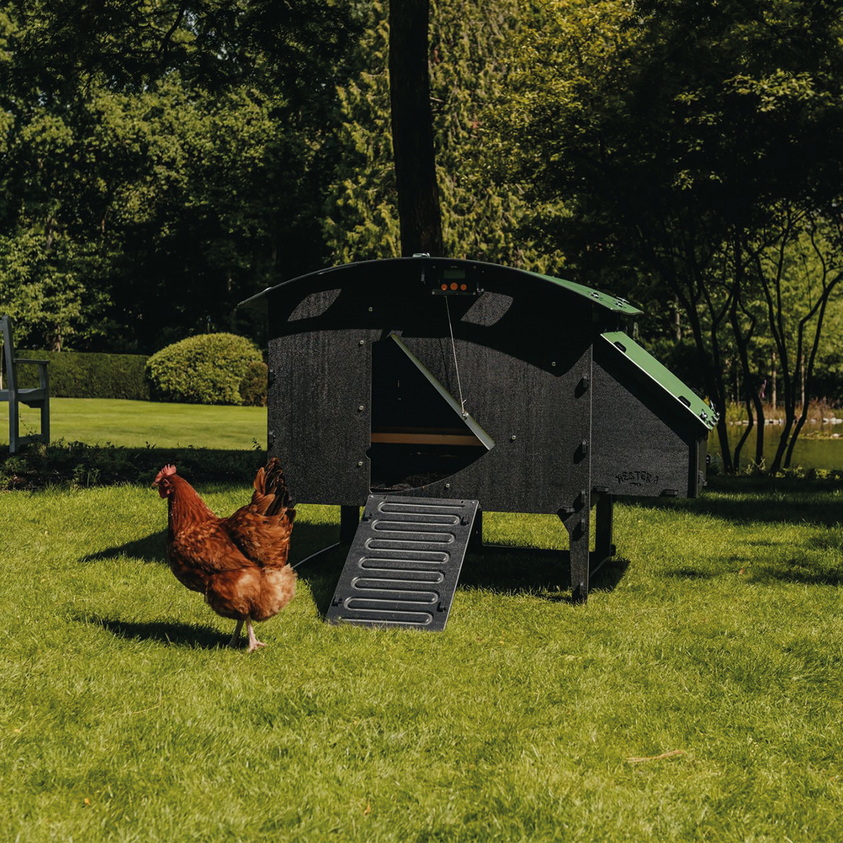 Large Lodge Nestera Chicken Coop