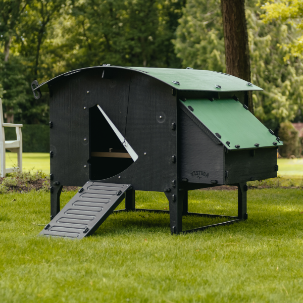 Large Nestera chicken coop for 12 to 15 bantams