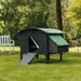 Large Nestera chicken coop for eight medium chickens