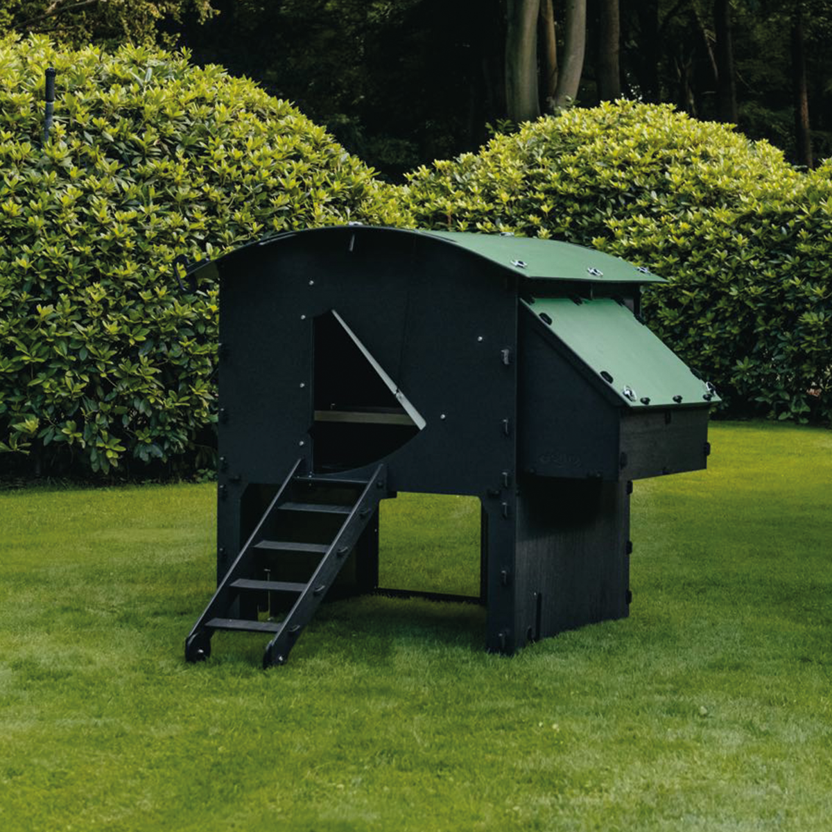Large Nestera chicken coop for five large hens