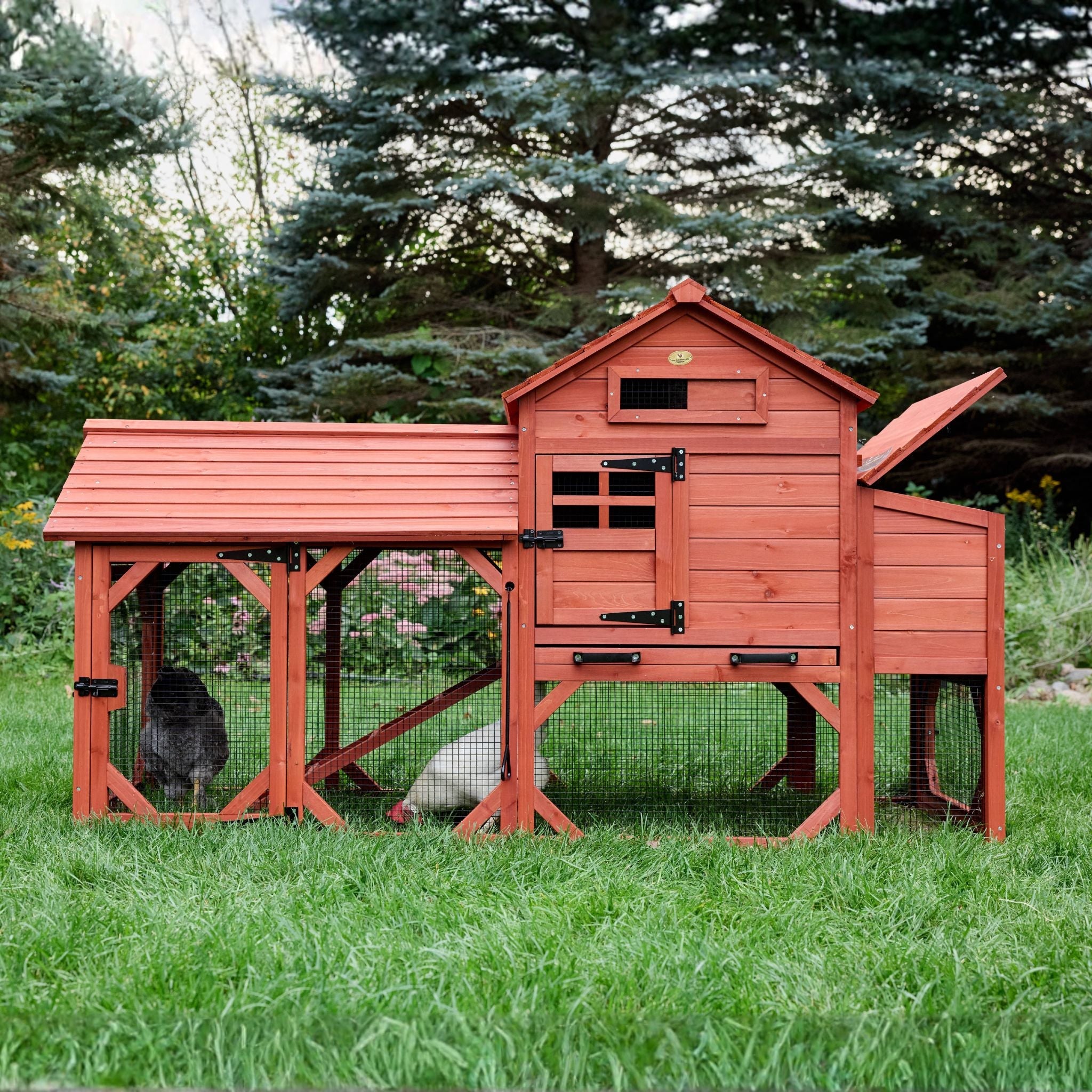 Chicken Coop Kit for 4 Chickens | Leghorn Cottage Chicken Coop