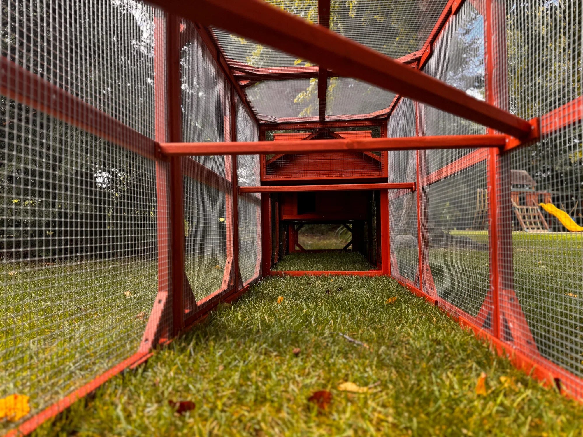 Chicken Coop Kit for 4 Chickens | Leghorn Cottage Chicken Coop