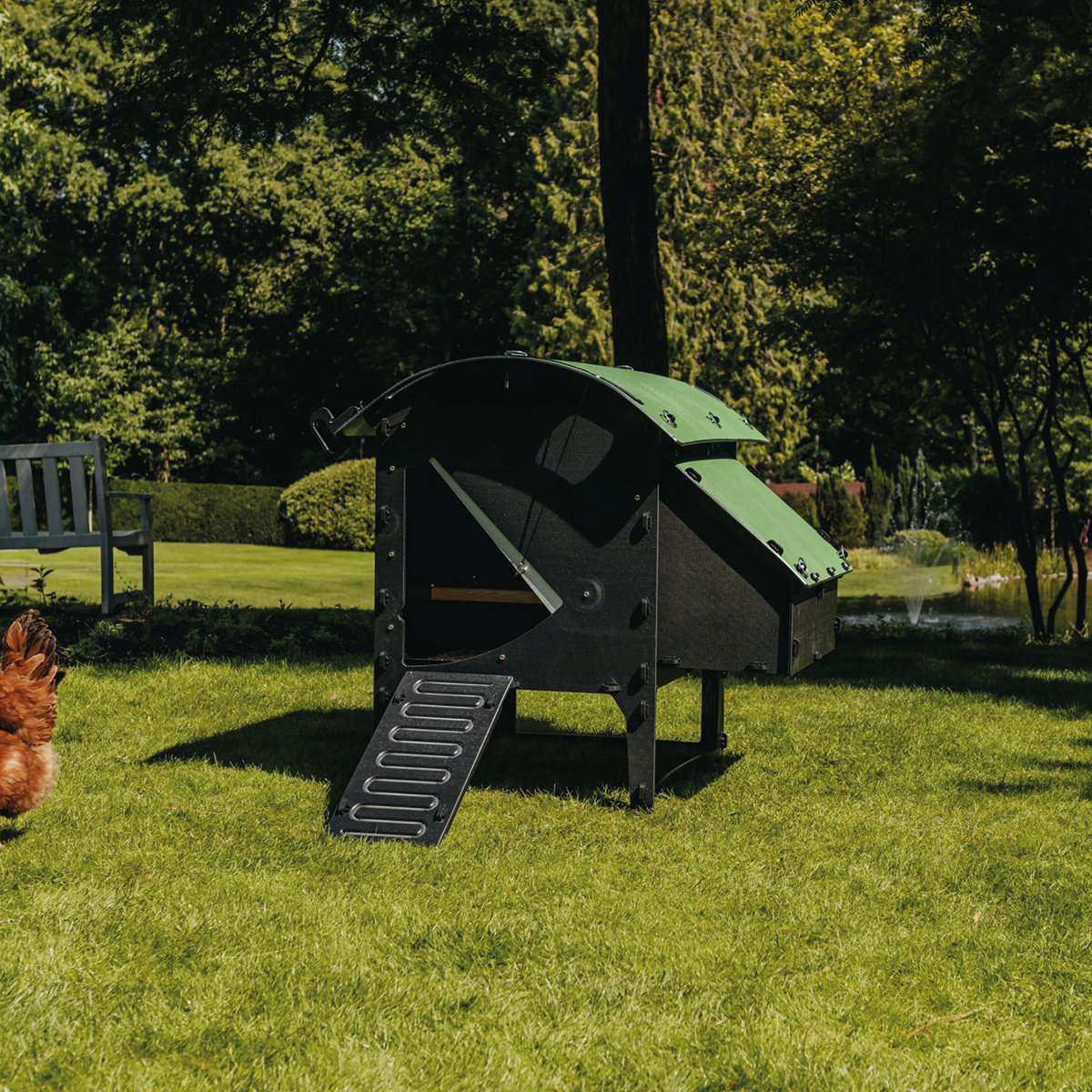 Medium Nestera chicken coop