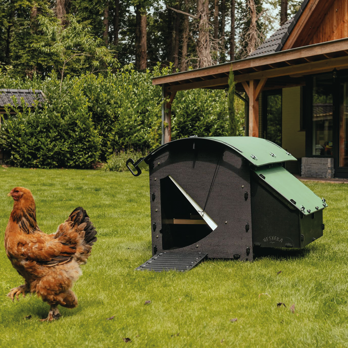 Medium Nestera recycled plastic chicken coop