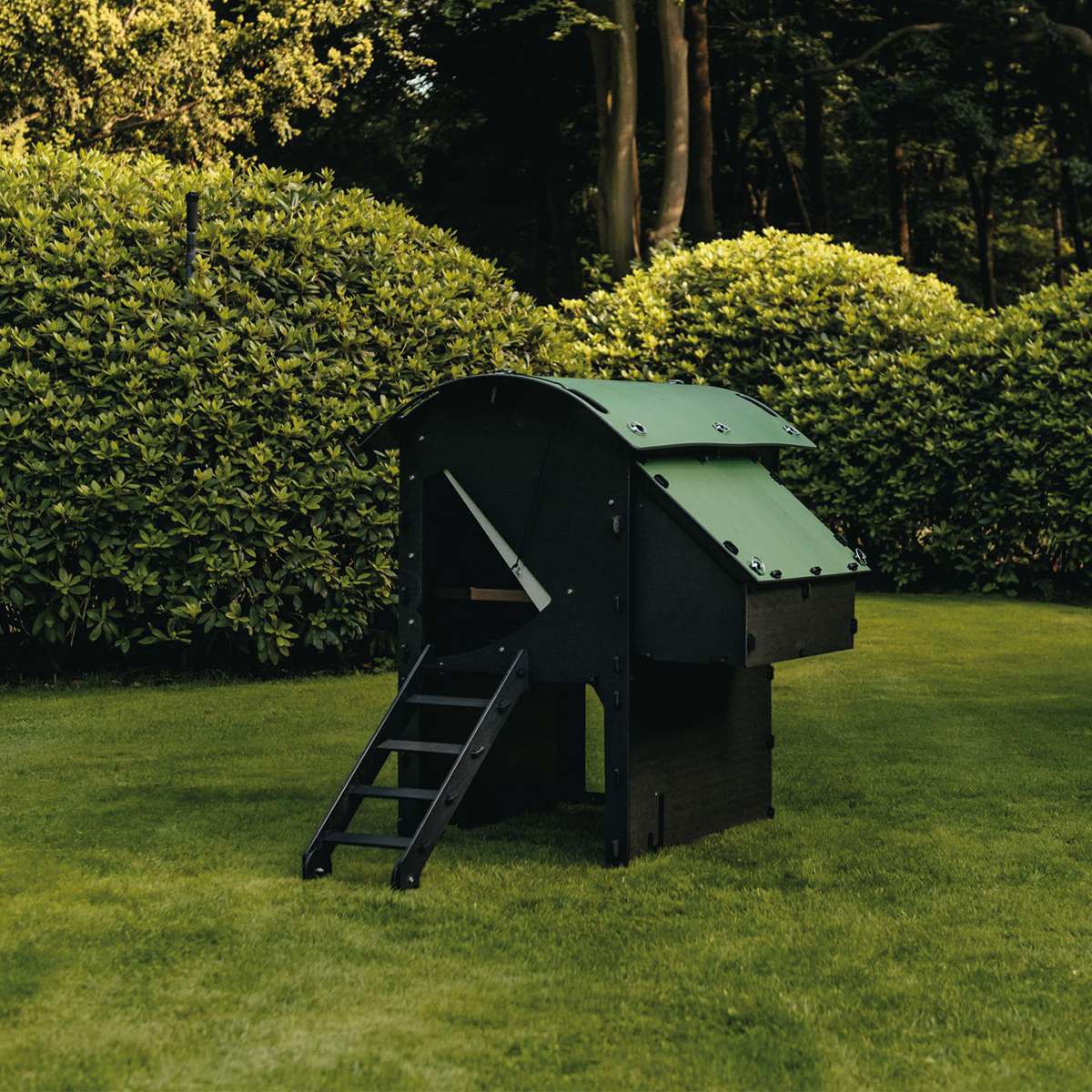 Medium Raised Nestera Chicken Coop