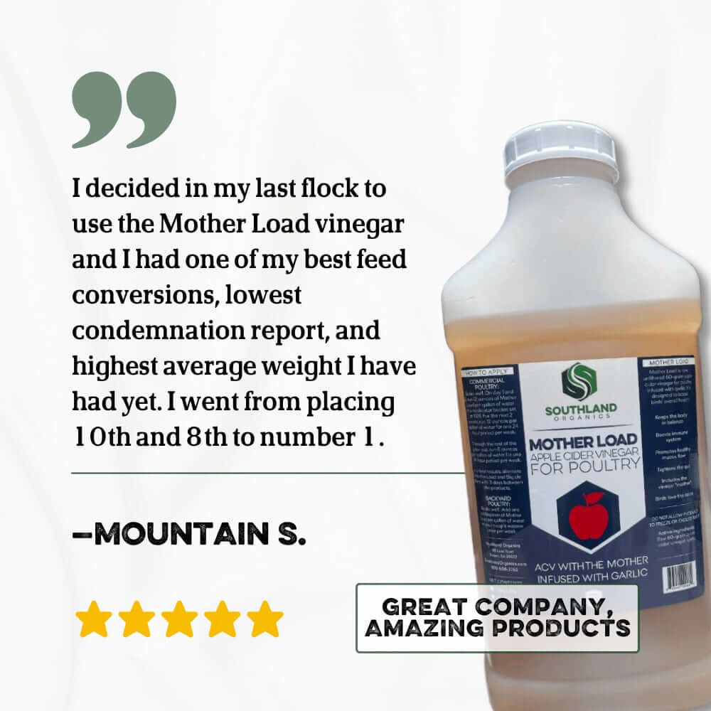 Mother Load | Apple Cider Vinegar for Chickens reviews