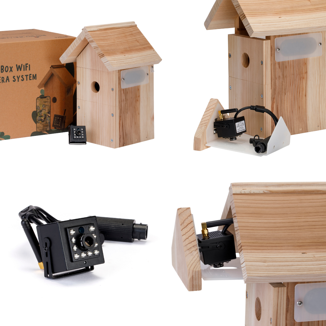 Multi-species bird house with Nestera WiFi camera system