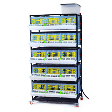 Multi-tier Cimuka poultry grow-out cage with removable feeding troughs and manure trays.
