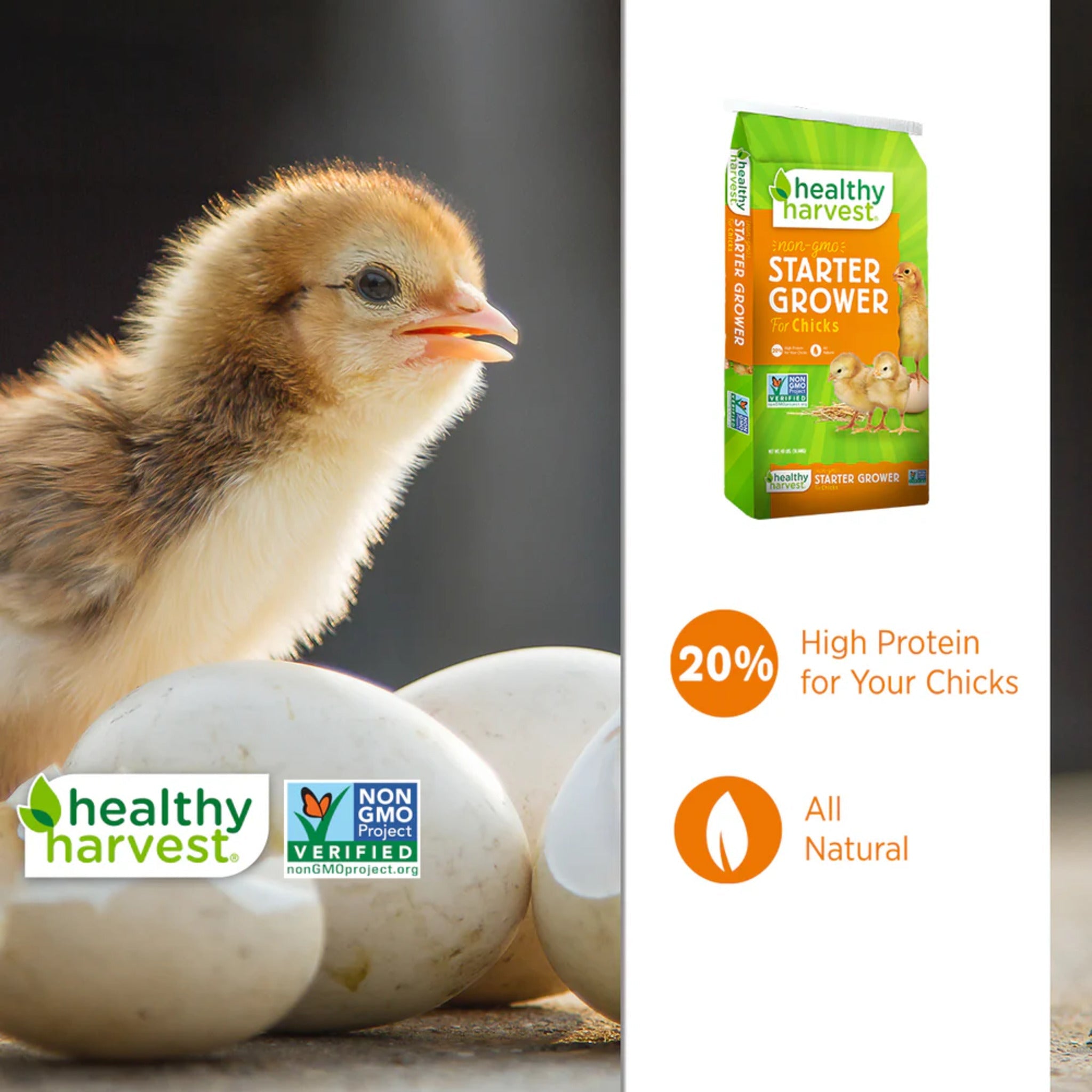 Healthy Harvest 20% Non-GMO Chick Starter/Grower all natural